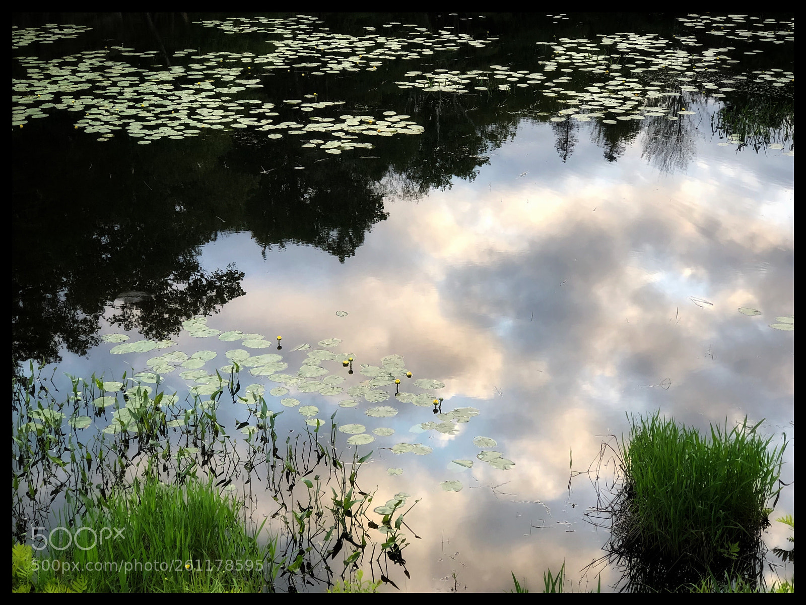 Apple iPhone 8 Plus sample photo. Serenity of nature photography