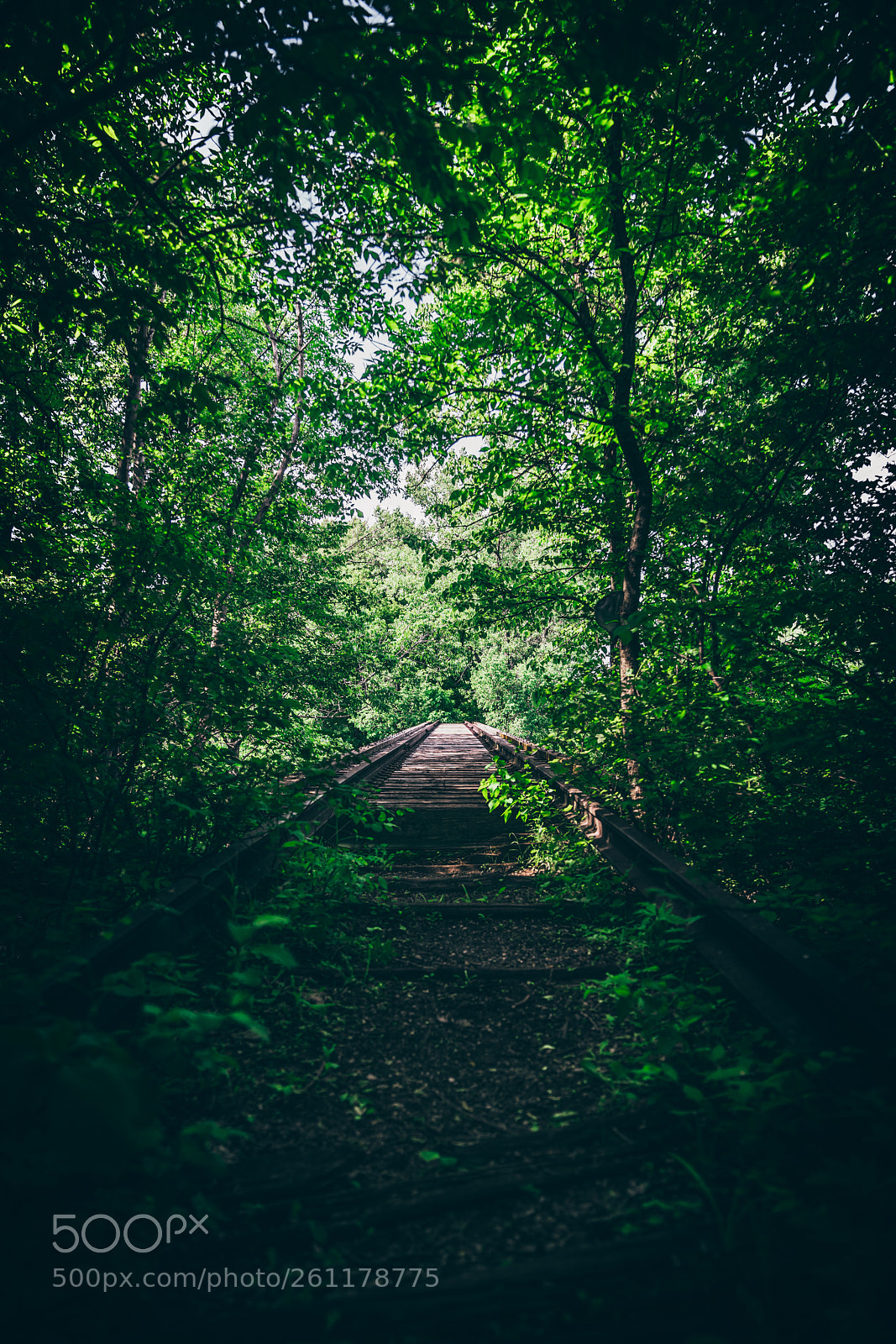 Sony a7R II sample photo. Lime creek rail road photography