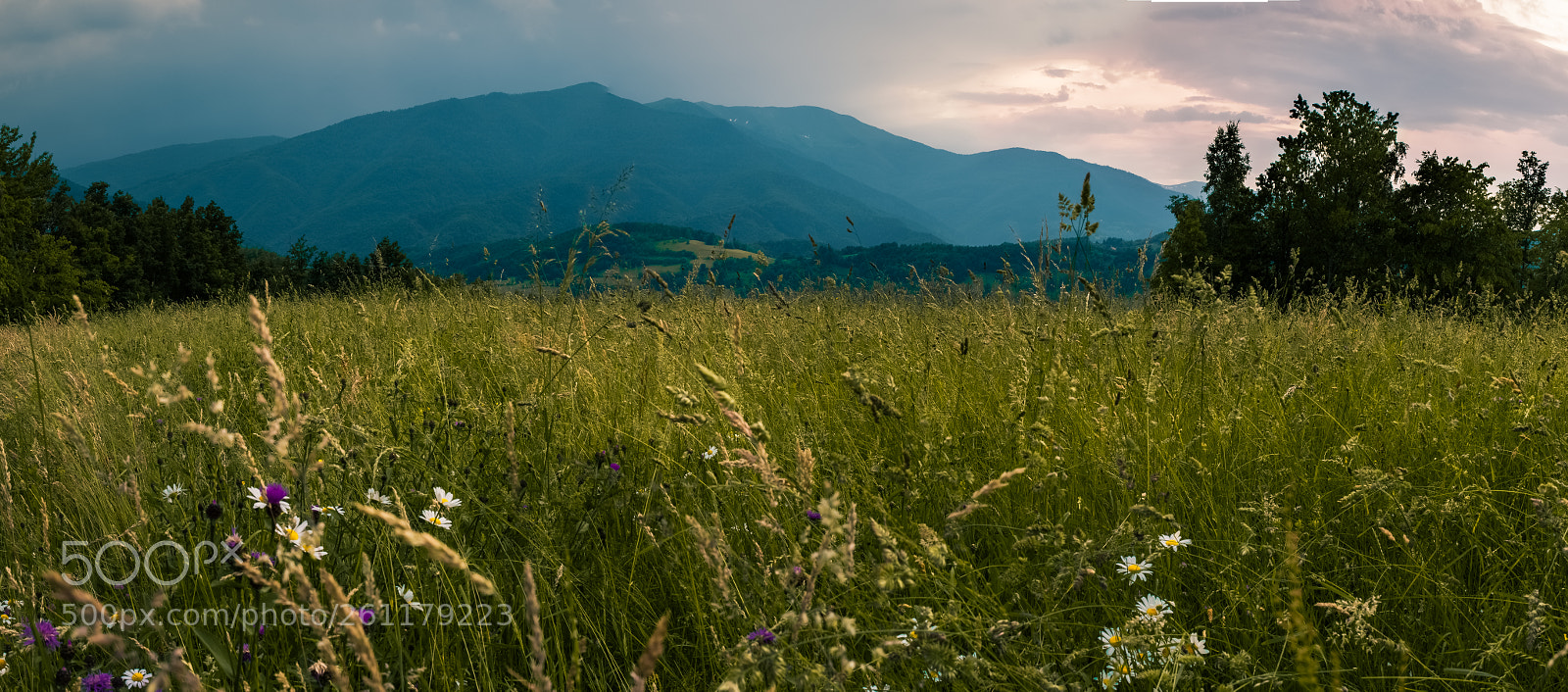 Nikon D80 sample photo. Summer panoramic photography