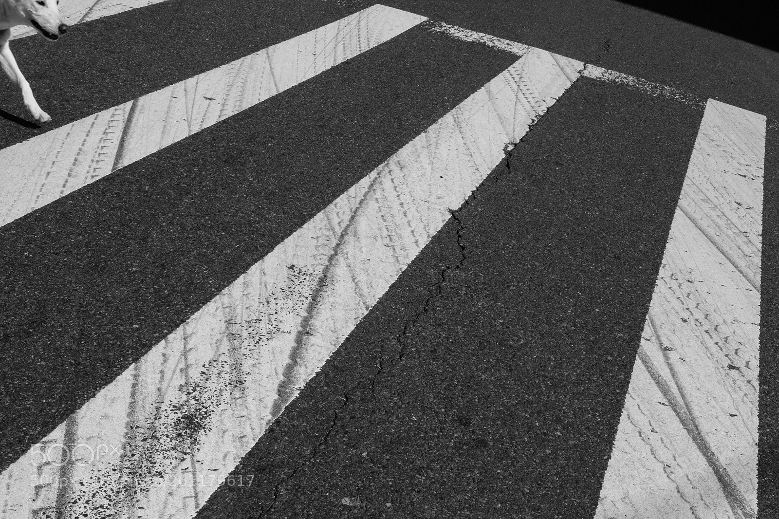 Canon EOS 70D sample photo. Untitled photography