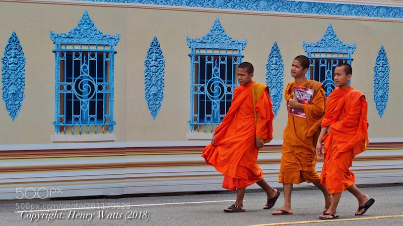 Olympus OM-D E-M5 sample photo. Road to enlightenment photography