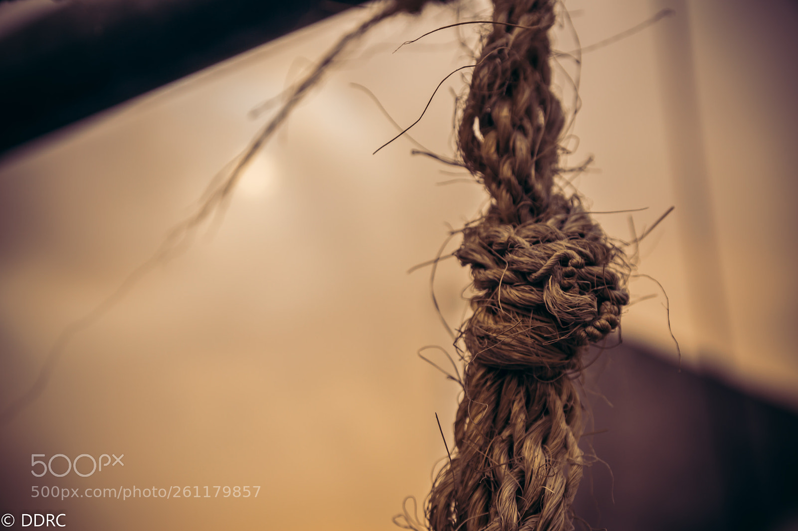 Nikon D3300 sample photo. Hang photography