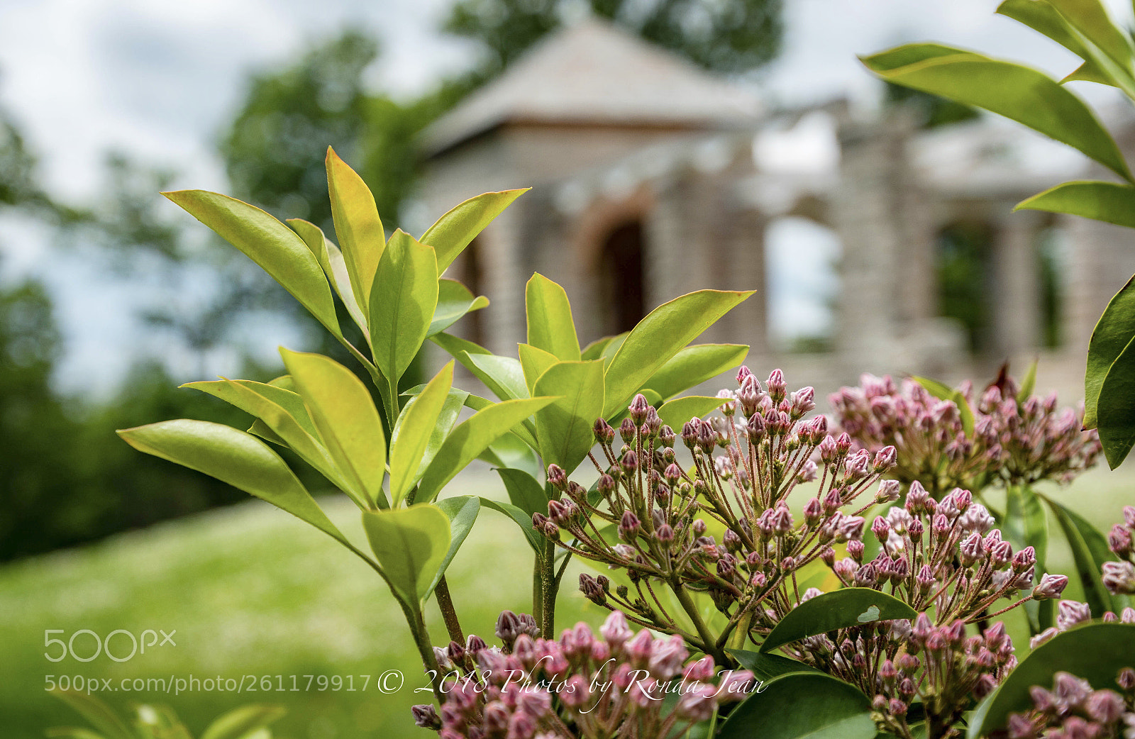 Nikon D500 sample photo. Untitled photography