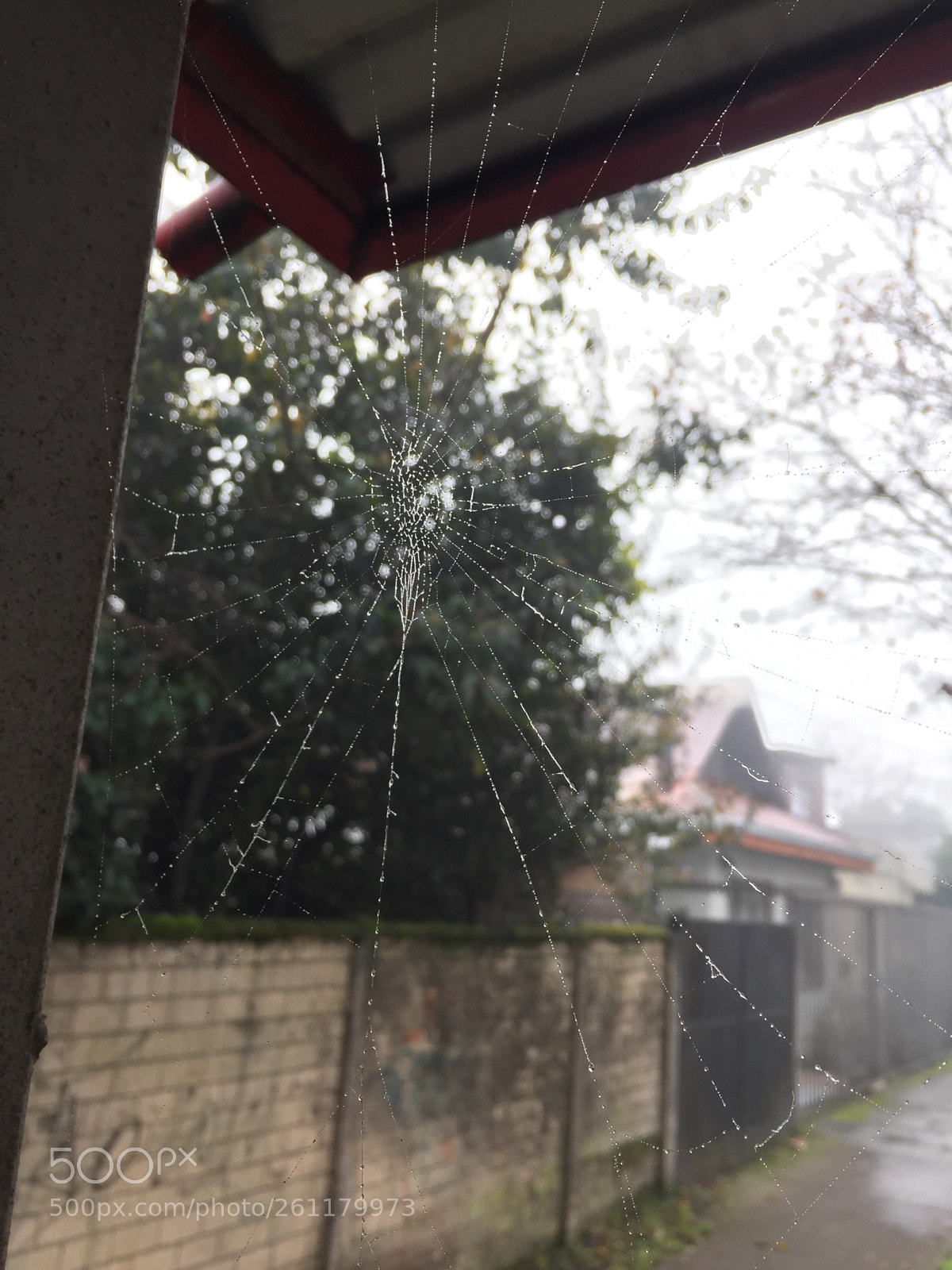 Apple iPhone 6 sample photo. Casa congelada ... photography