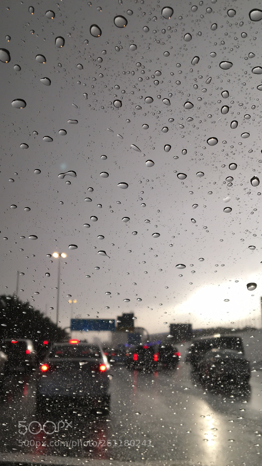 Apple iPhone 6s sample photo. Untitled photography
