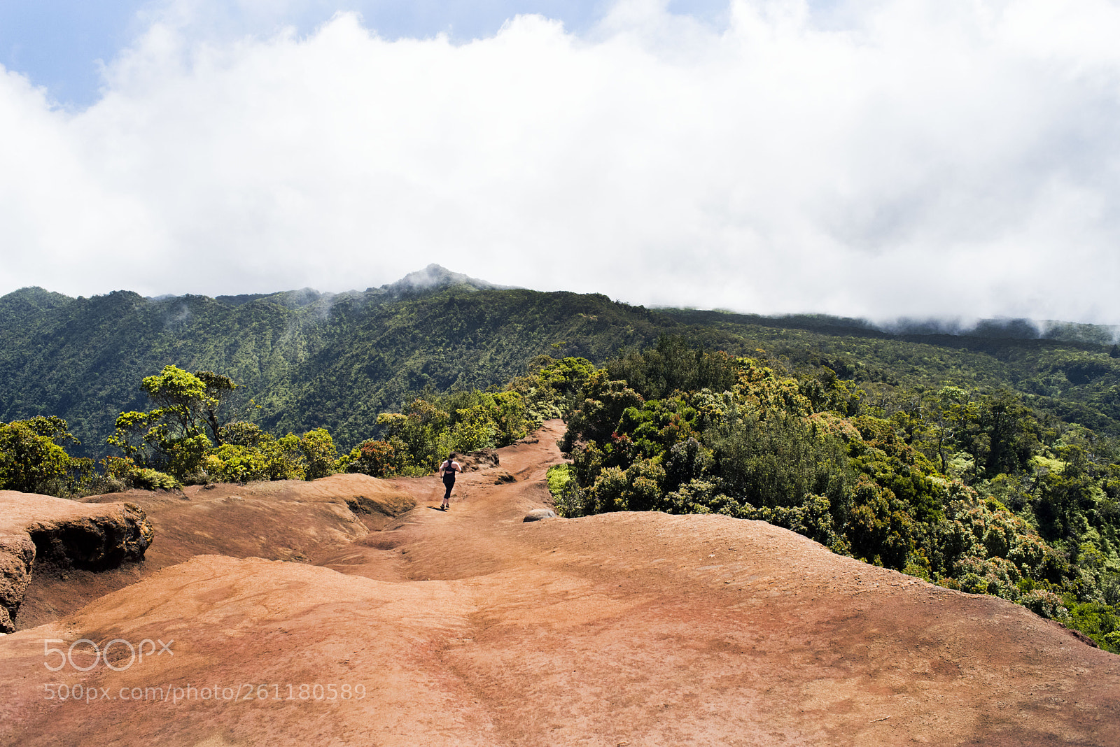 Nikon D750 sample photo. Pihea trail photography