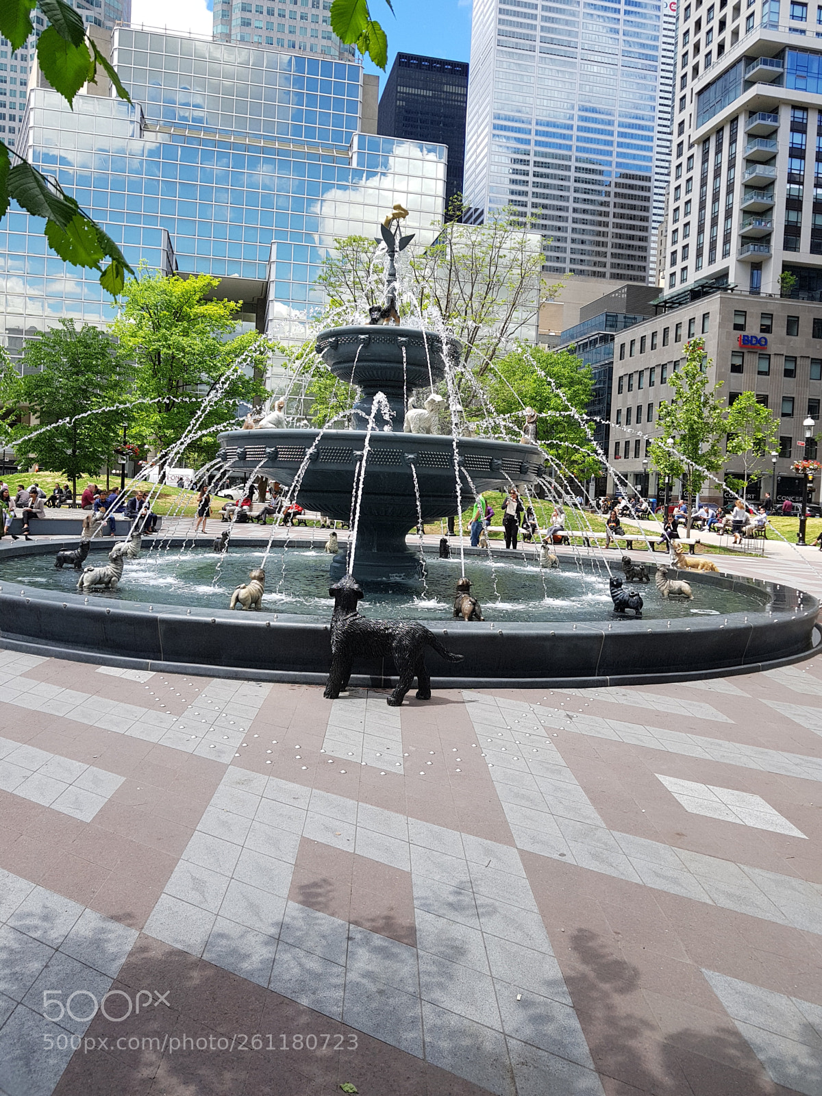 Samsung Galaxy S8+ sample photo. Dog fountain photography