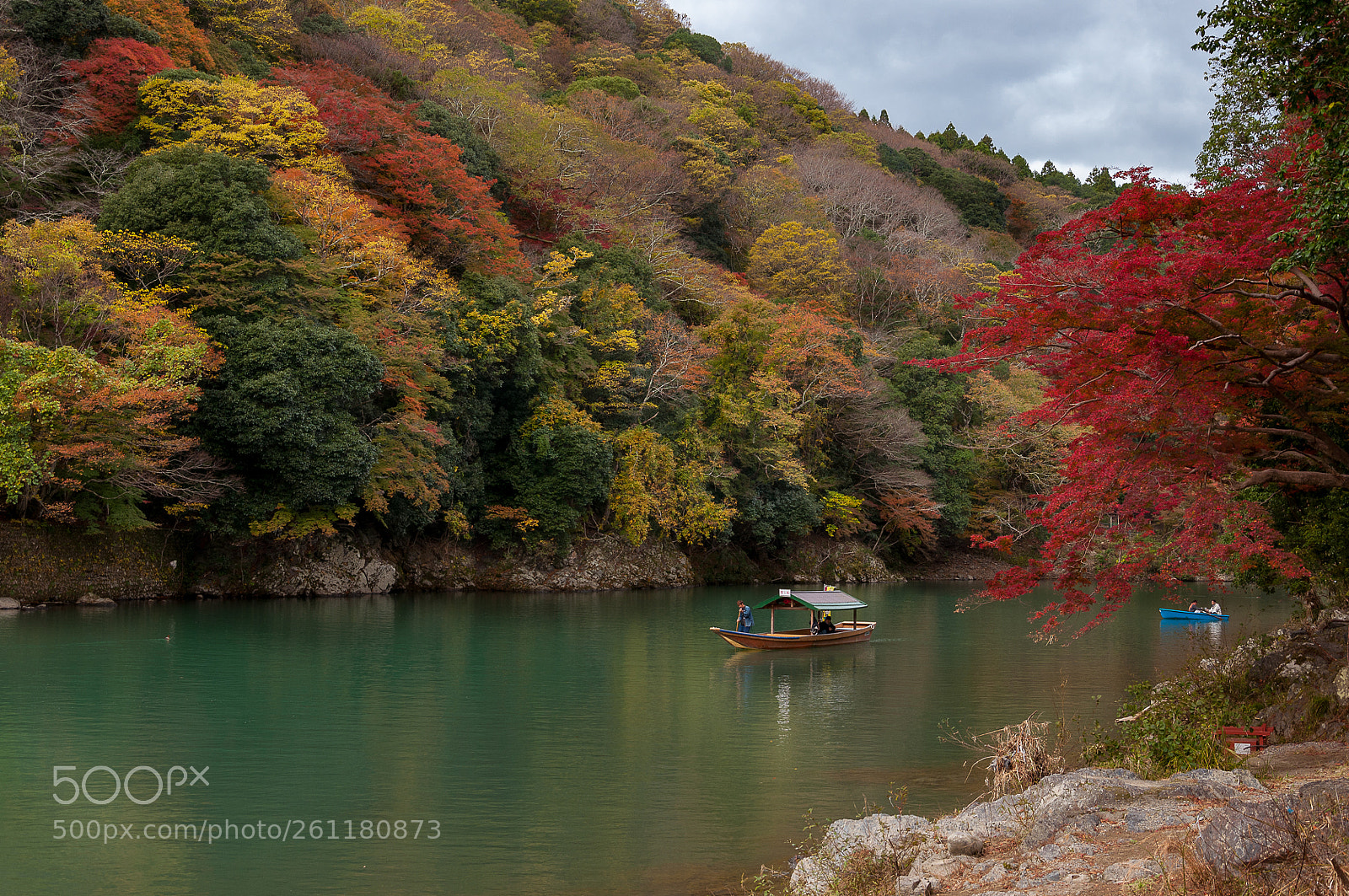 Nikon D90 sample photo. Navegando verde, arashiyama photography