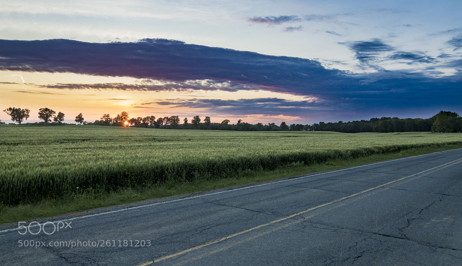 Nikon D3200 sample photo. Sunset road photography