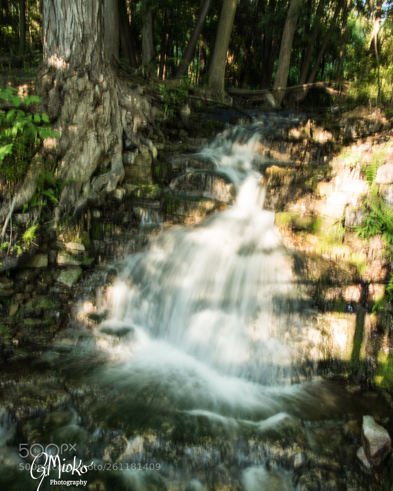 Nikon D750 sample photo. Waterfall by the raod photography