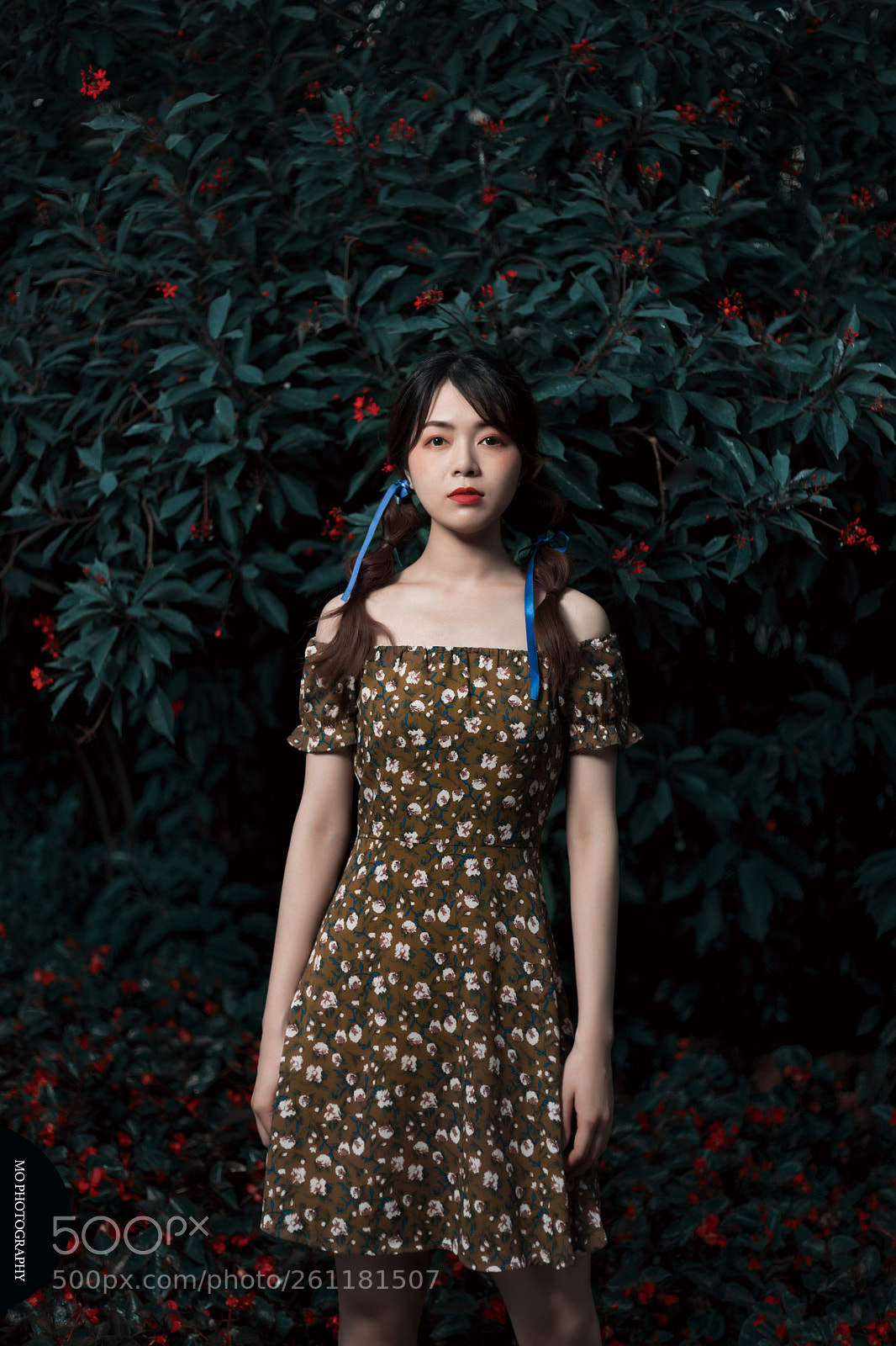 Canon EOS 5D Mark IV sample photo. 时间を止める魔法 photography