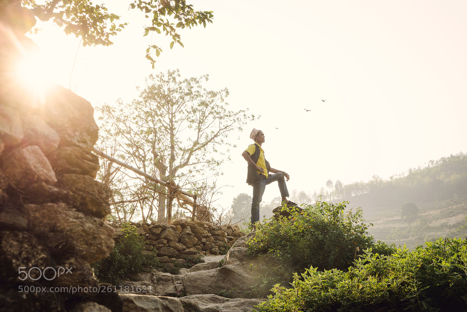 Nikon D610 sample photo. Standing tall photography