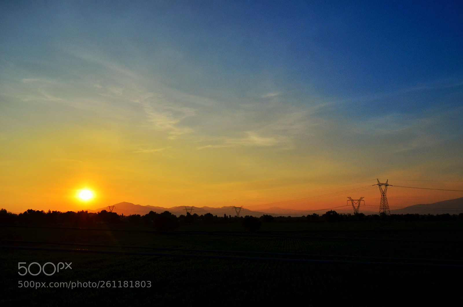 Nikon D5100 sample photo. Untitled photography