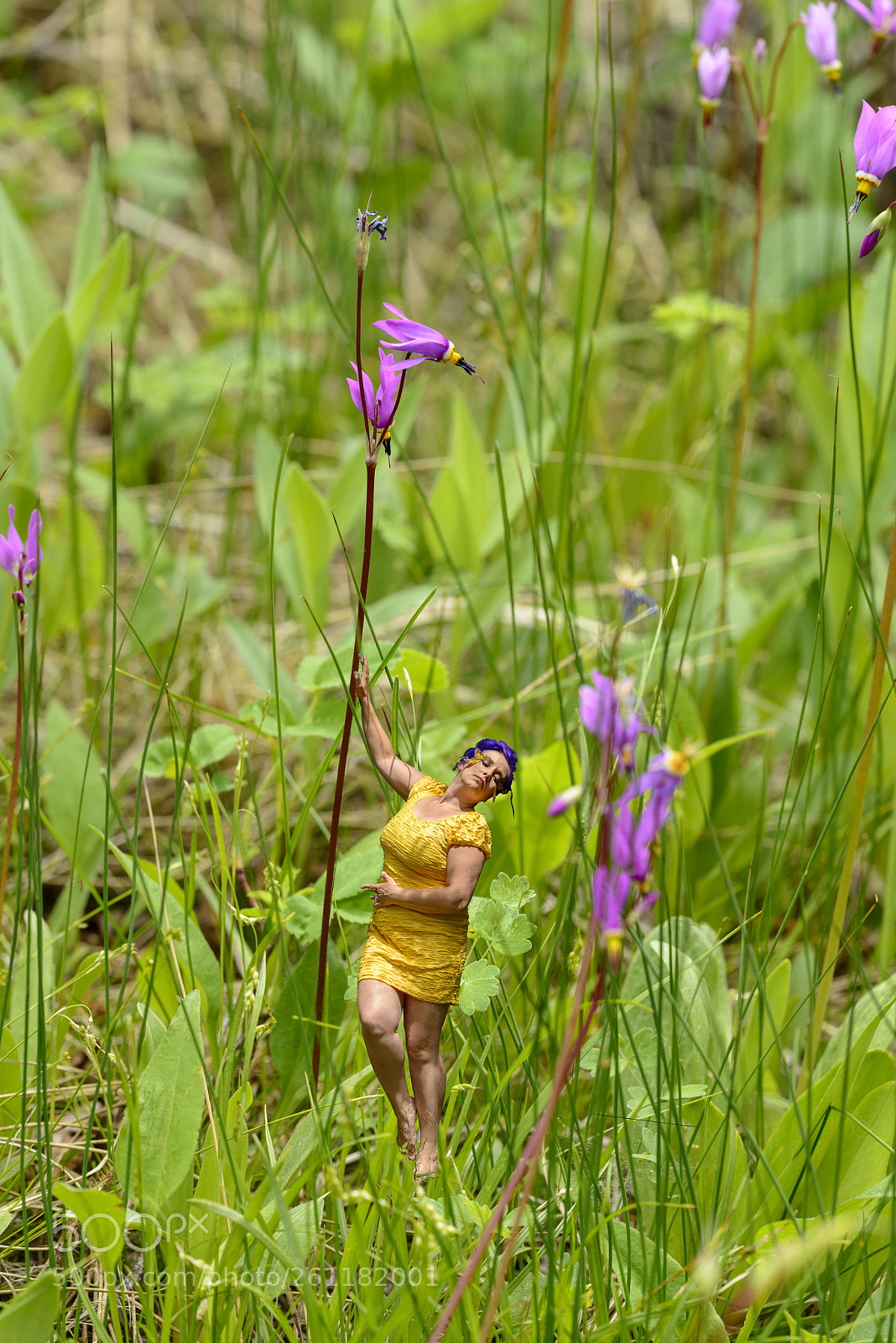 Nikon D800 sample photo. Shooting star pixie photography