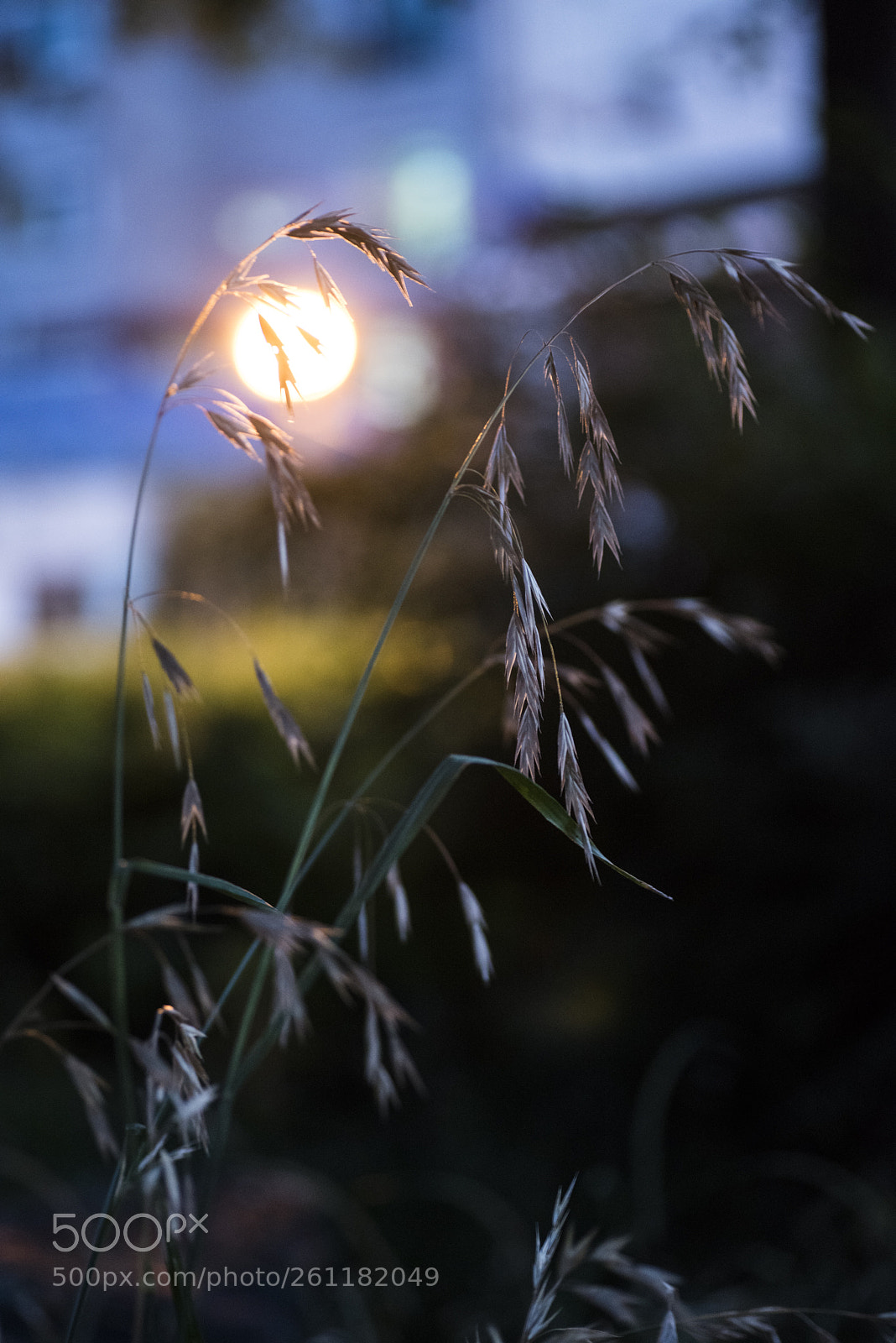 Nikon D810 sample photo. In a world   no.27 photography