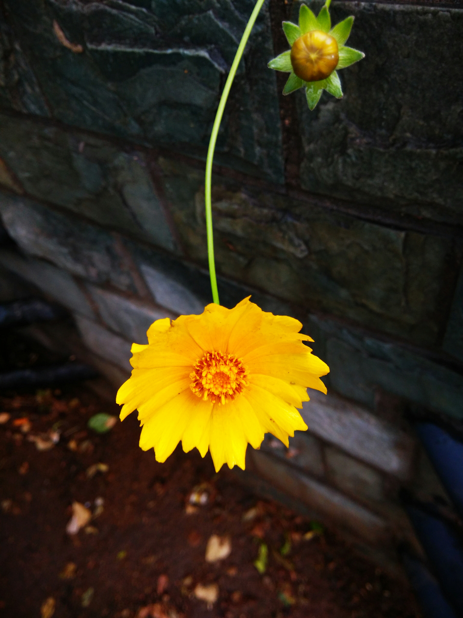 Xiaomi MI3 sample photo