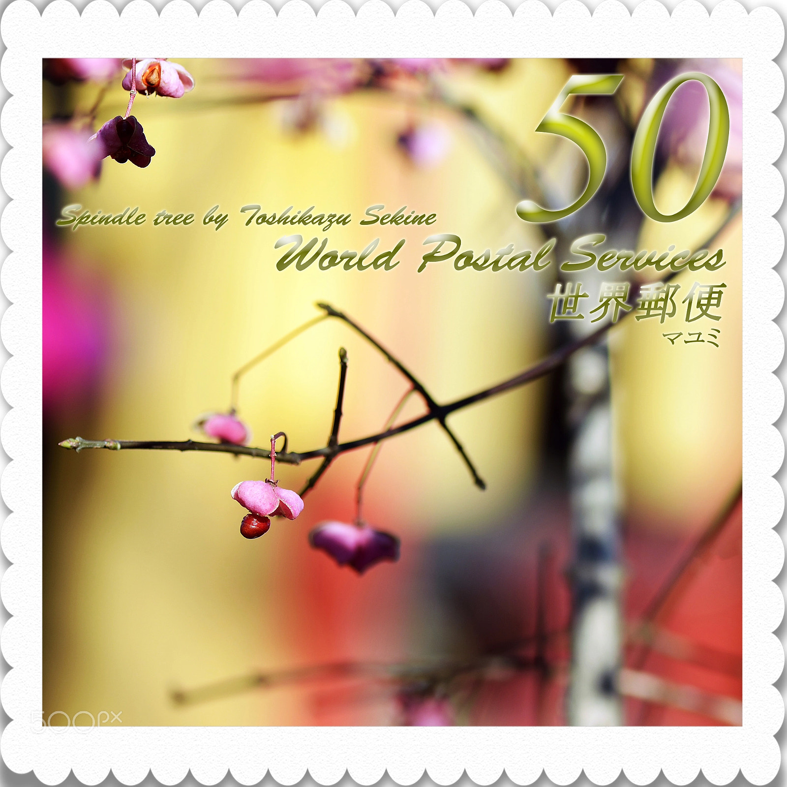 Nikon D800E sample photo. Spindle tree photography