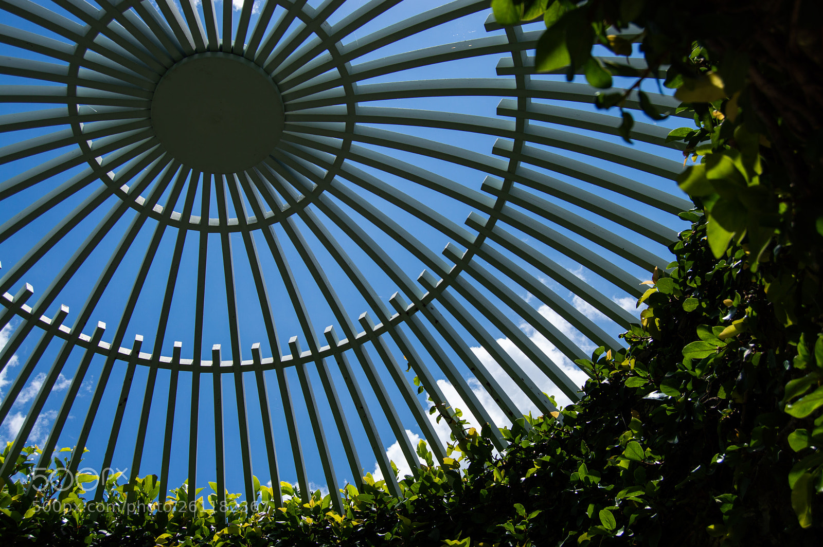 Nikon D3200 sample photo. Intersecting lines photography