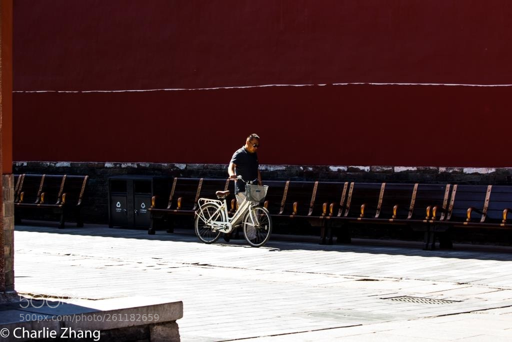 Canon EOS-1D X sample photo. Untitled photography