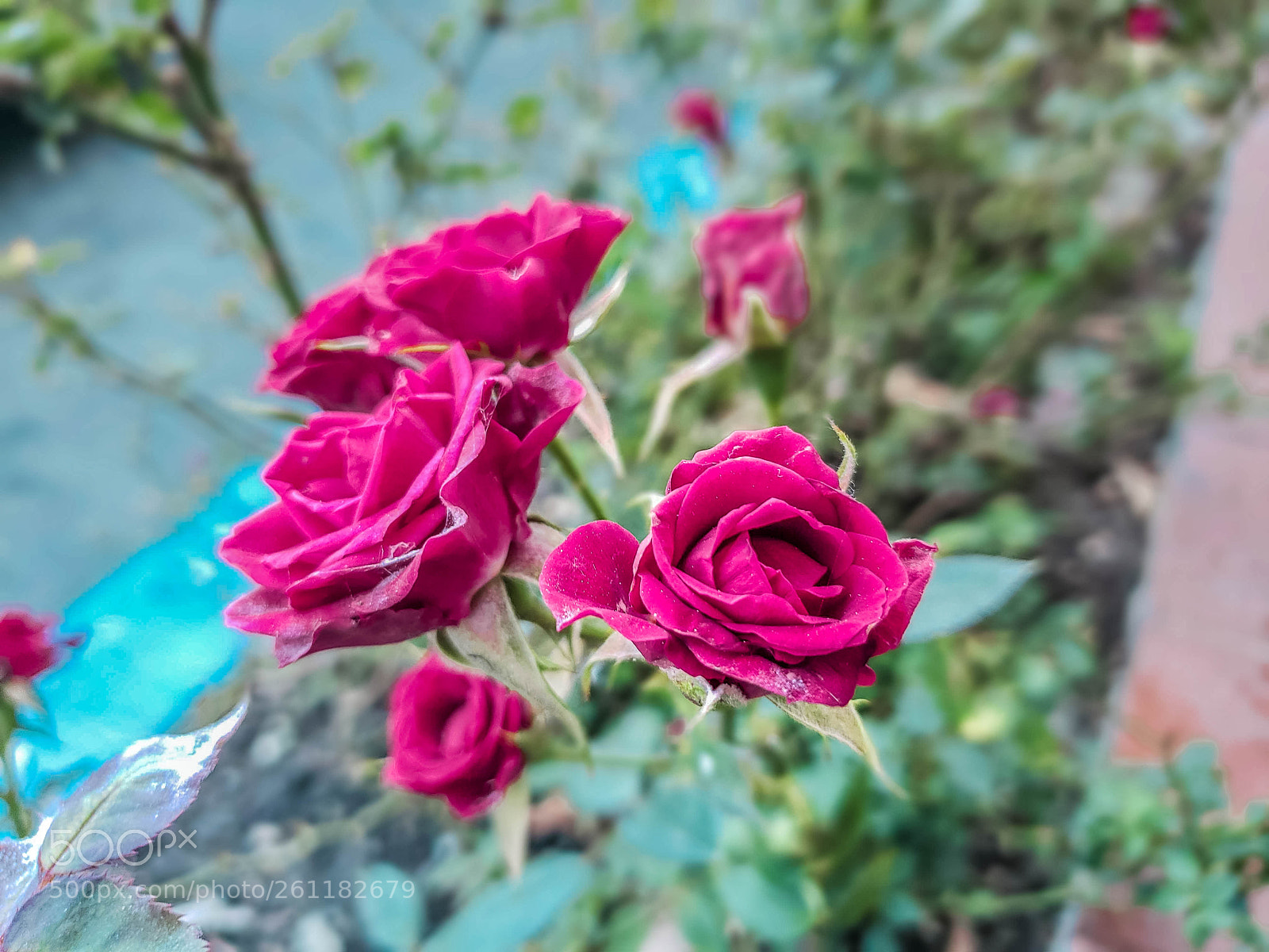 Samsung Galaxy S9 sample photo. Untitled photography