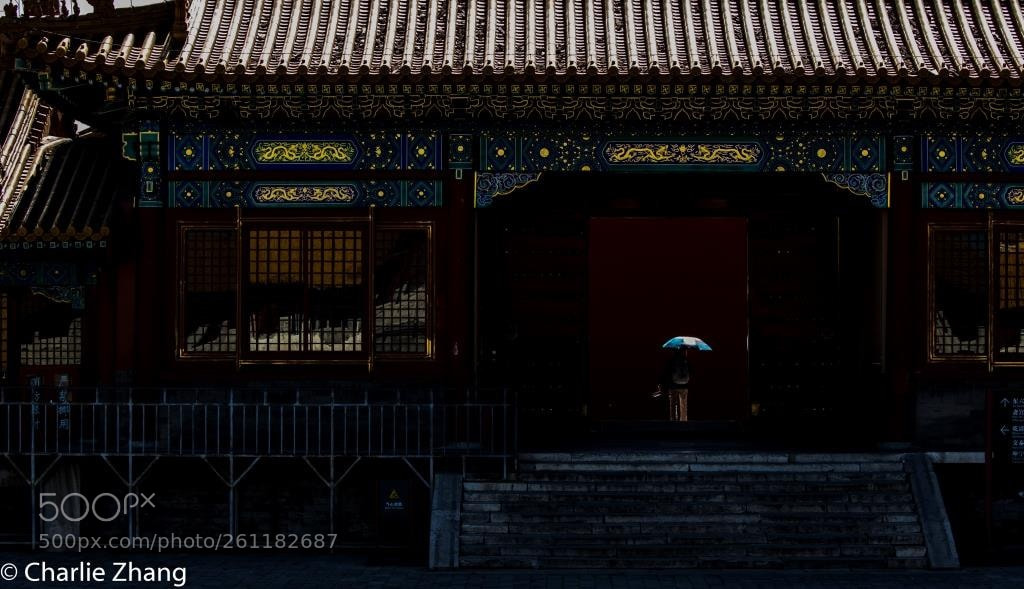 Canon EOS-1D X sample photo. Untitled photography