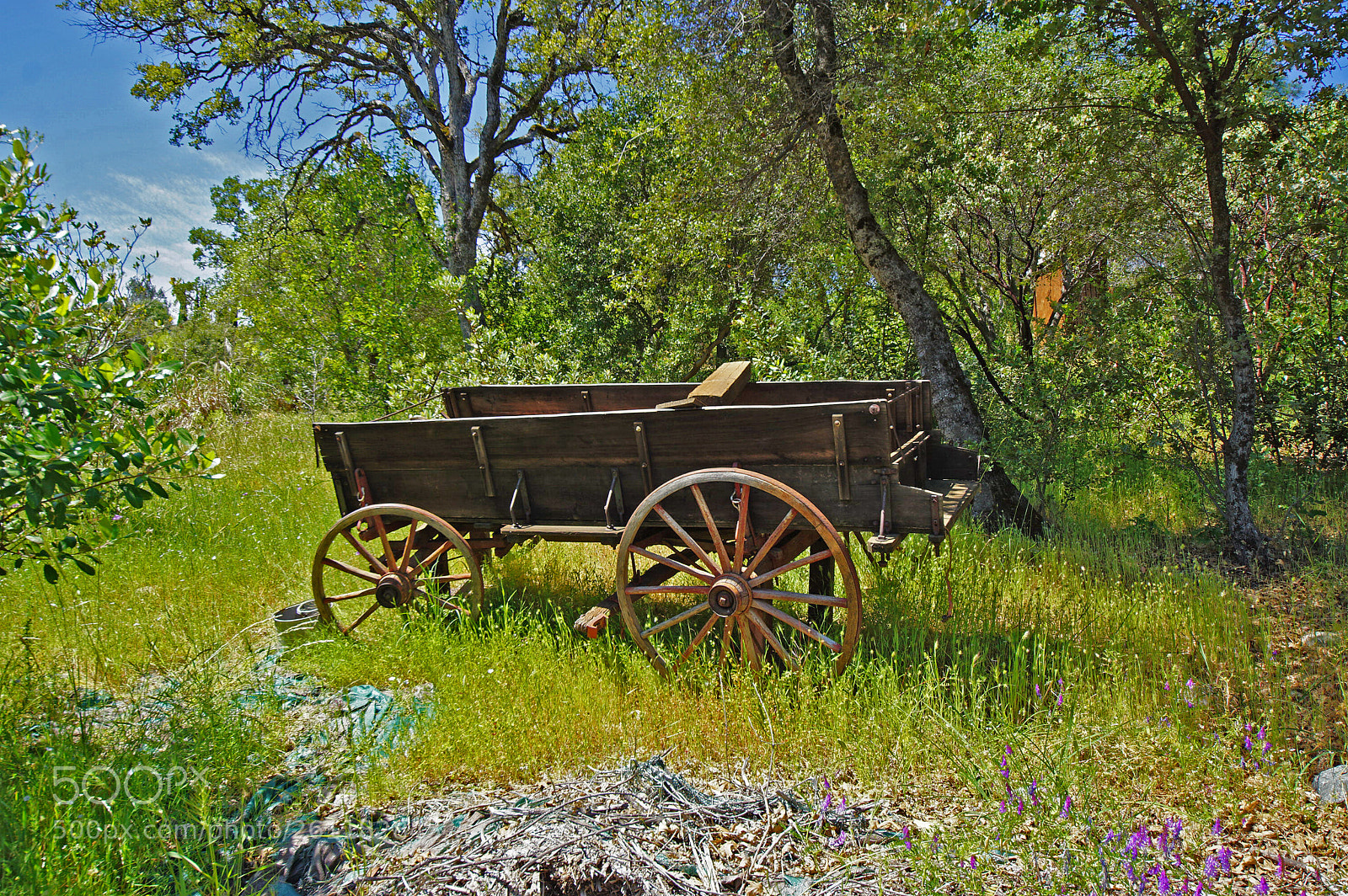 Sony a6000 sample photo. Old freight wagon photography