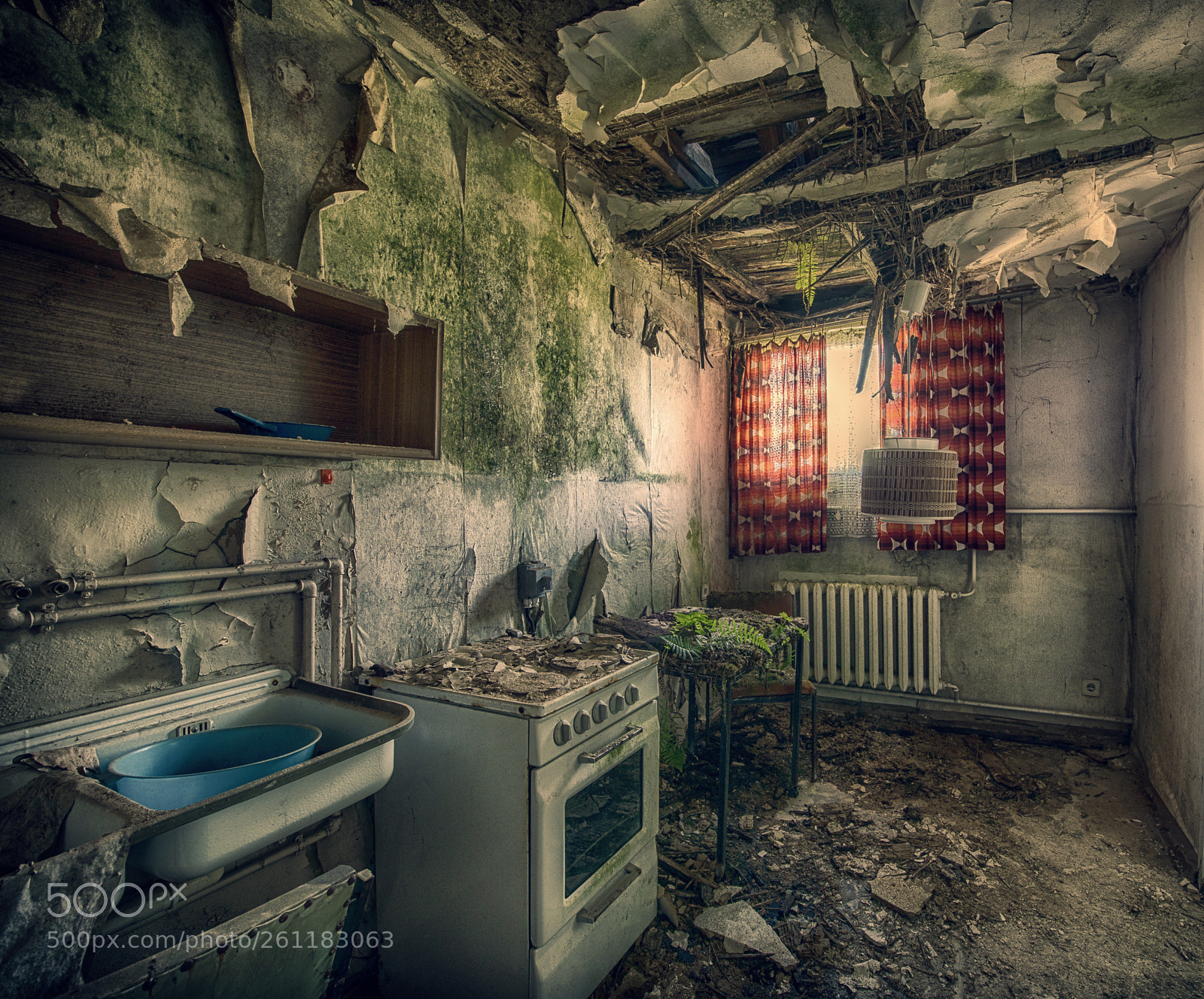 Nikon D810 sample photo. Mooscombination  photography