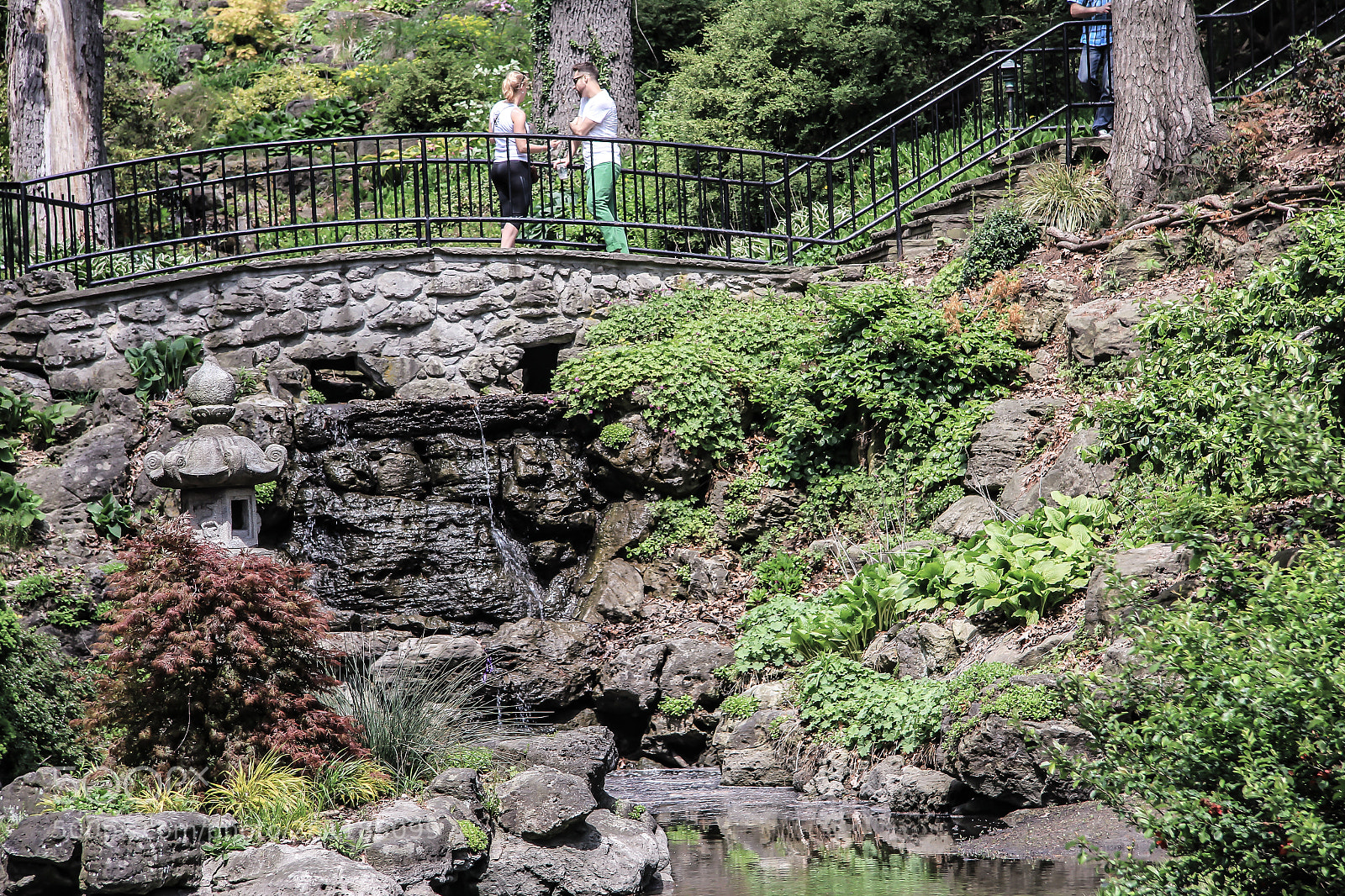 Canon EOS 550D (EOS Rebel T2i / EOS Kiss X4) sample photo. Bridge in the park photography