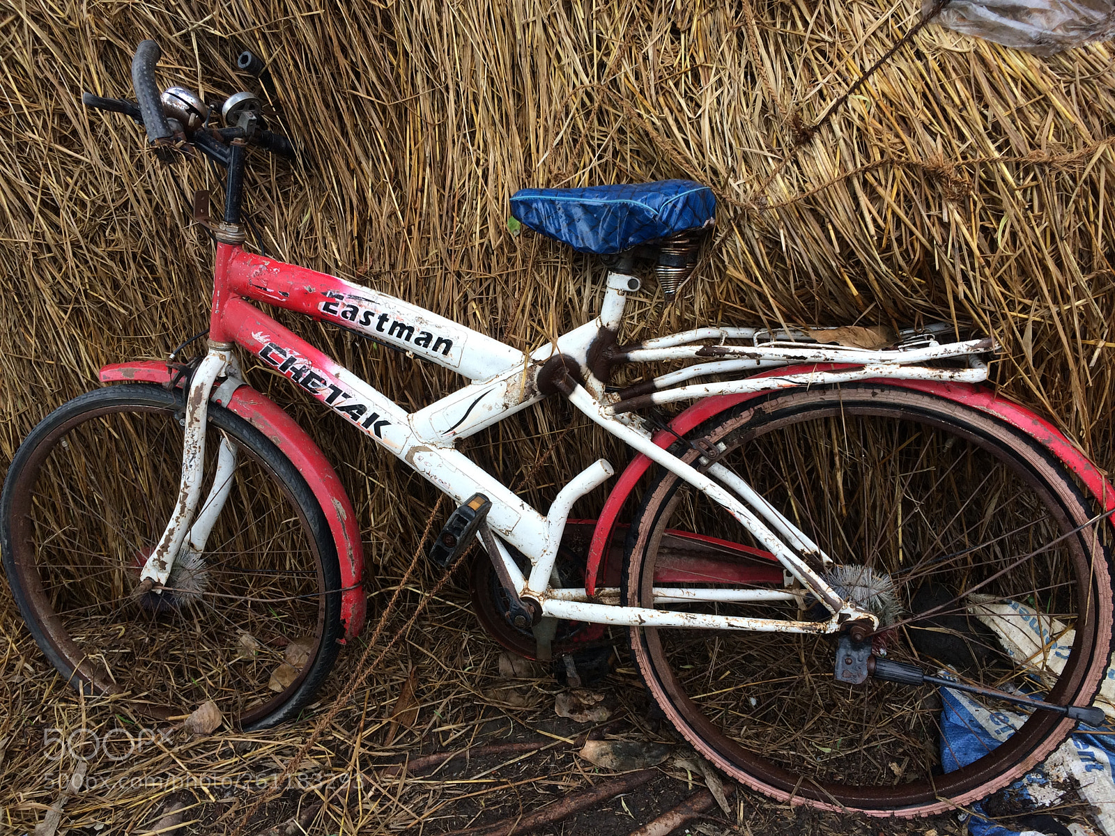 Apple iPhone 5s sample photo. The cycle photography