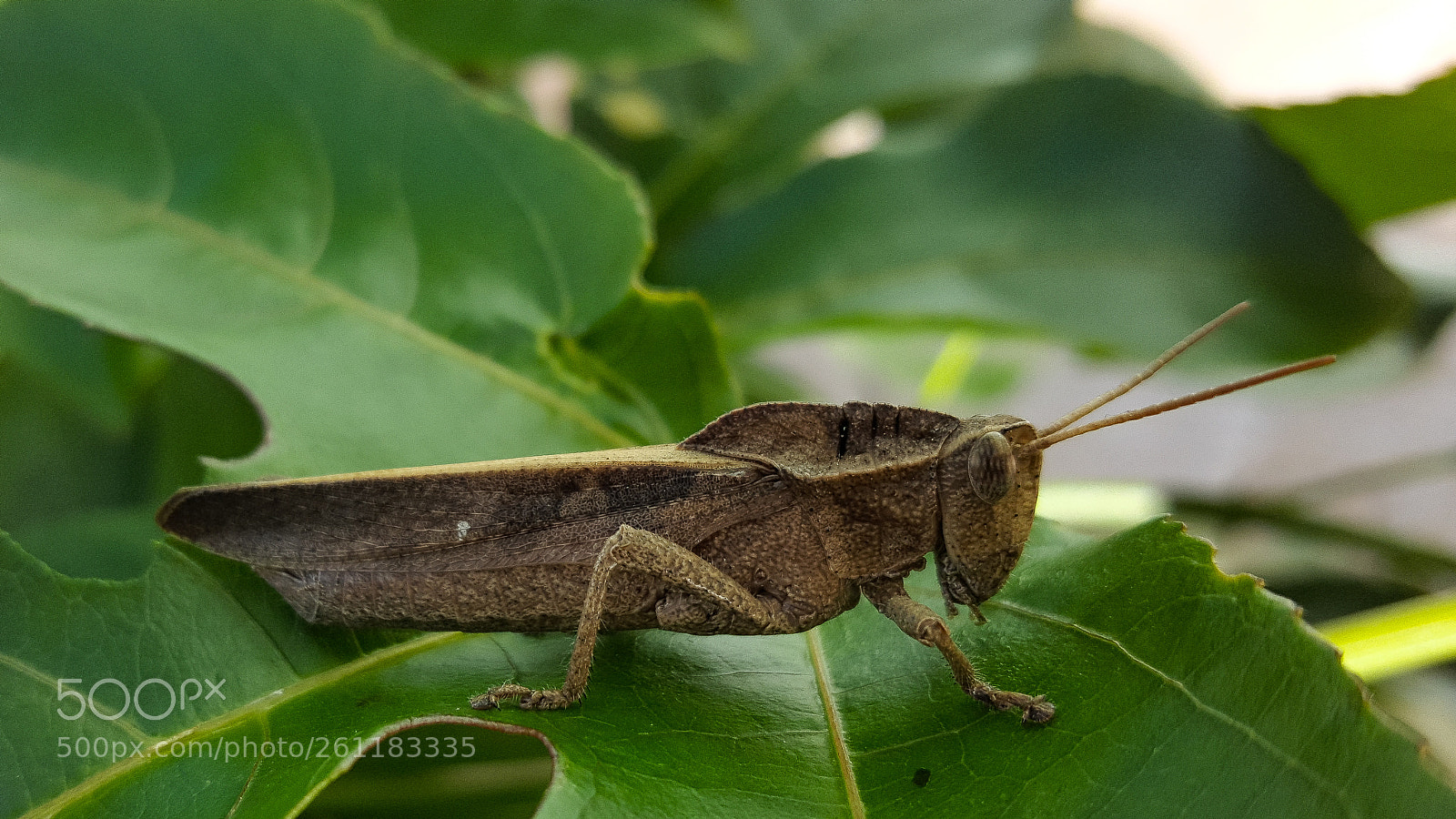 Samsung Galaxy S6 sample photo. 20170422_153430.jpg photography