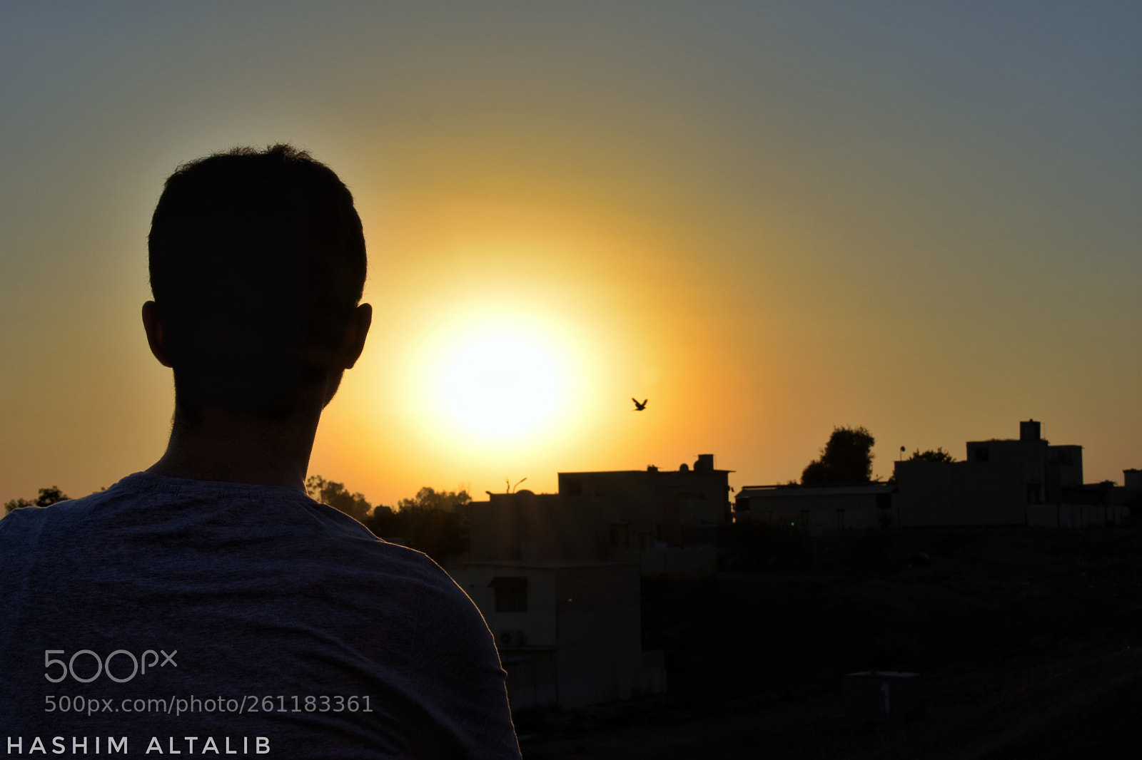 Nikon D3400 sample photo. Untitled photography
