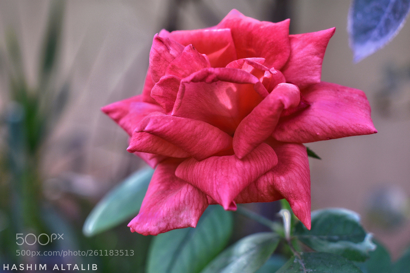 Nikon D3400 sample photo. Untitled photography