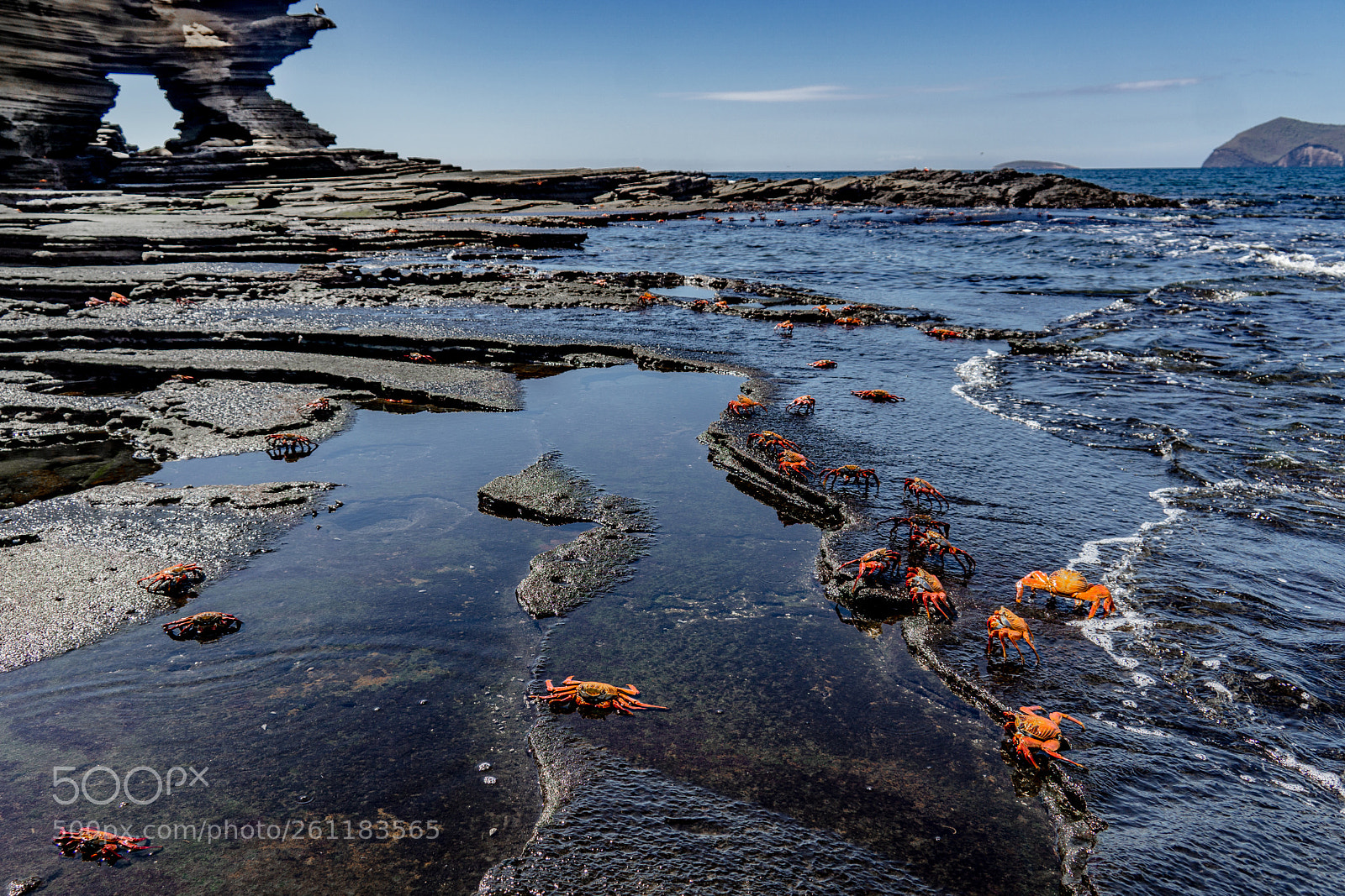 Sony a6000 sample photo. Galapagos shoreline vista photography