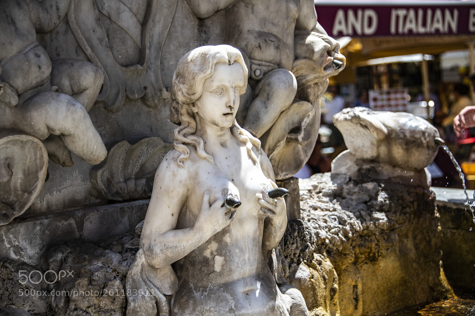 Nikon D850 sample photo. 850_1222.jpg photography