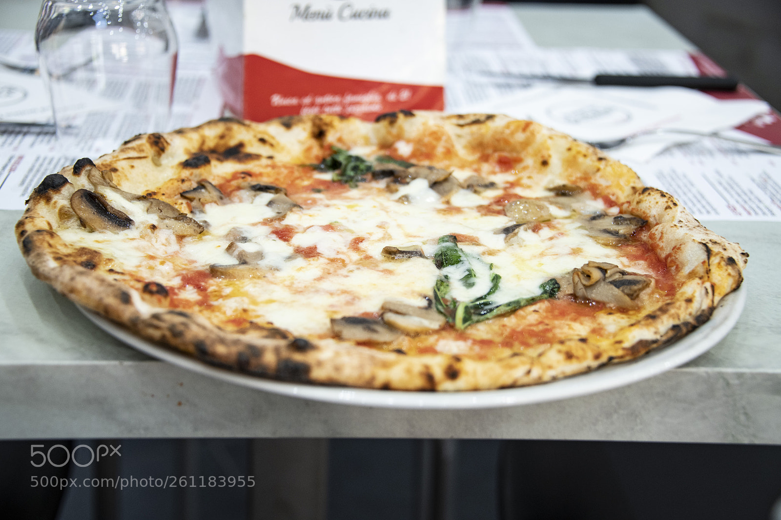 Nikon D850 sample photo. 850_1211.jpg photography