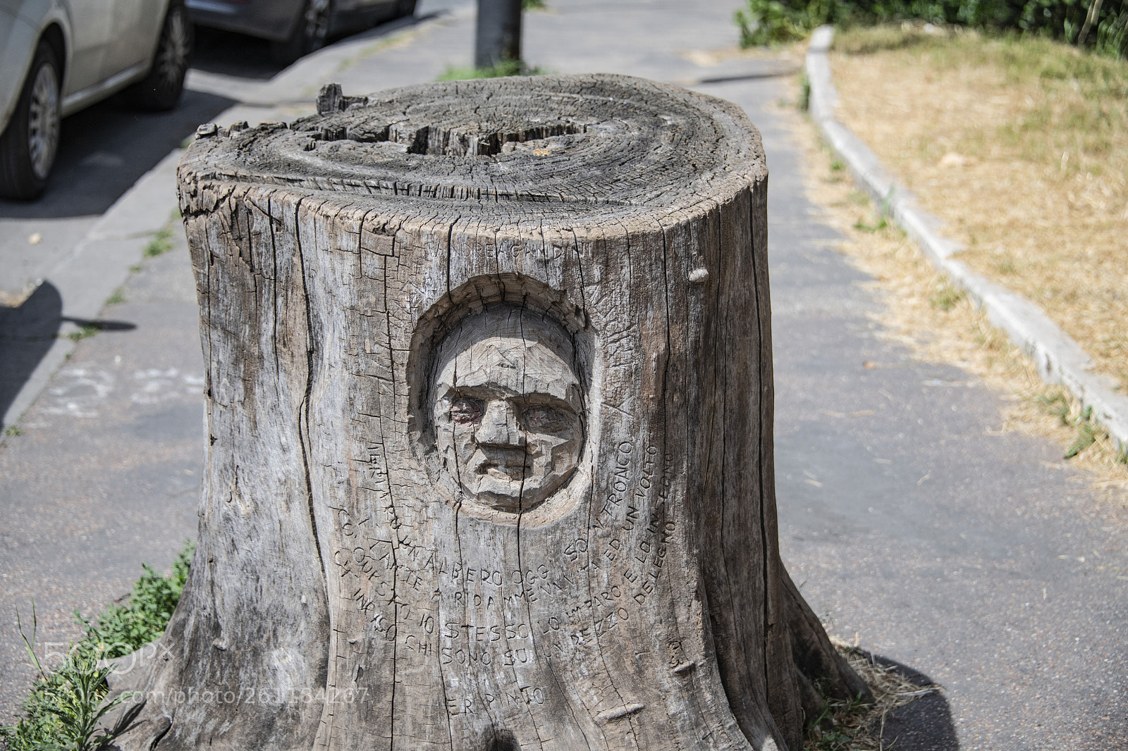 Nikon D850 sample photo. 850_1021.jpg photography