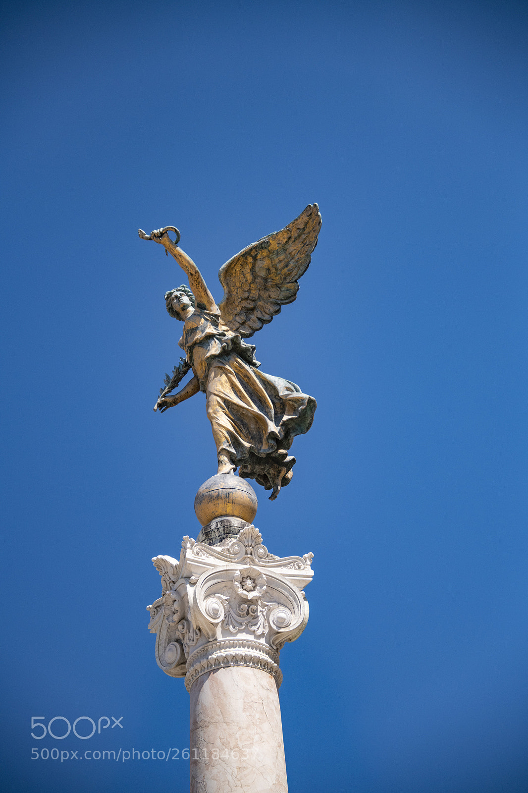 Nikon D850 sample photo. 850_0607.jpg photography