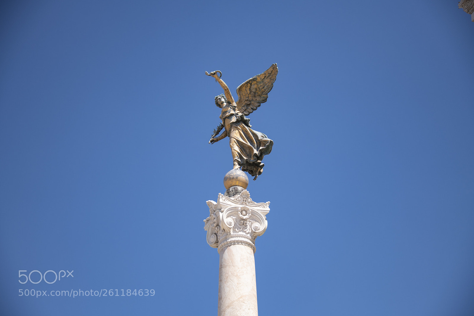 Nikon D850 sample photo. 850_0604.jpg photography