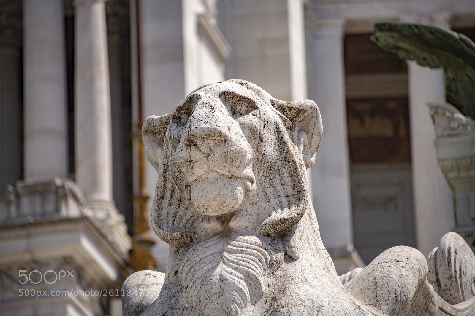 Nikon D850 sample photo. 850_0539.jpg photography