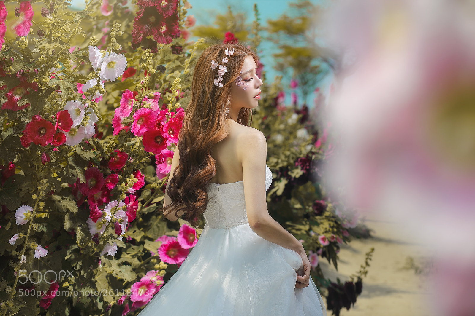 Canon EOS 5D Mark IV sample photo. Untitled photography