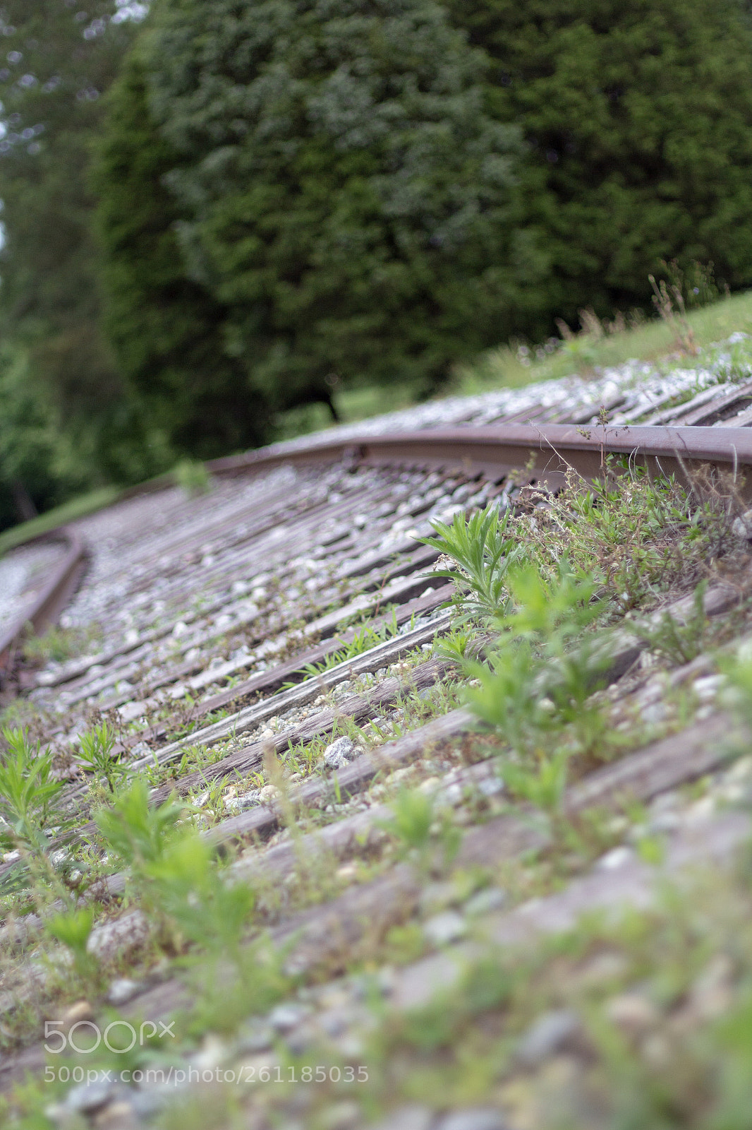 Canon EOS 700D (EOS Rebel T5i / EOS Kiss X7i) sample photo. Perspective photography