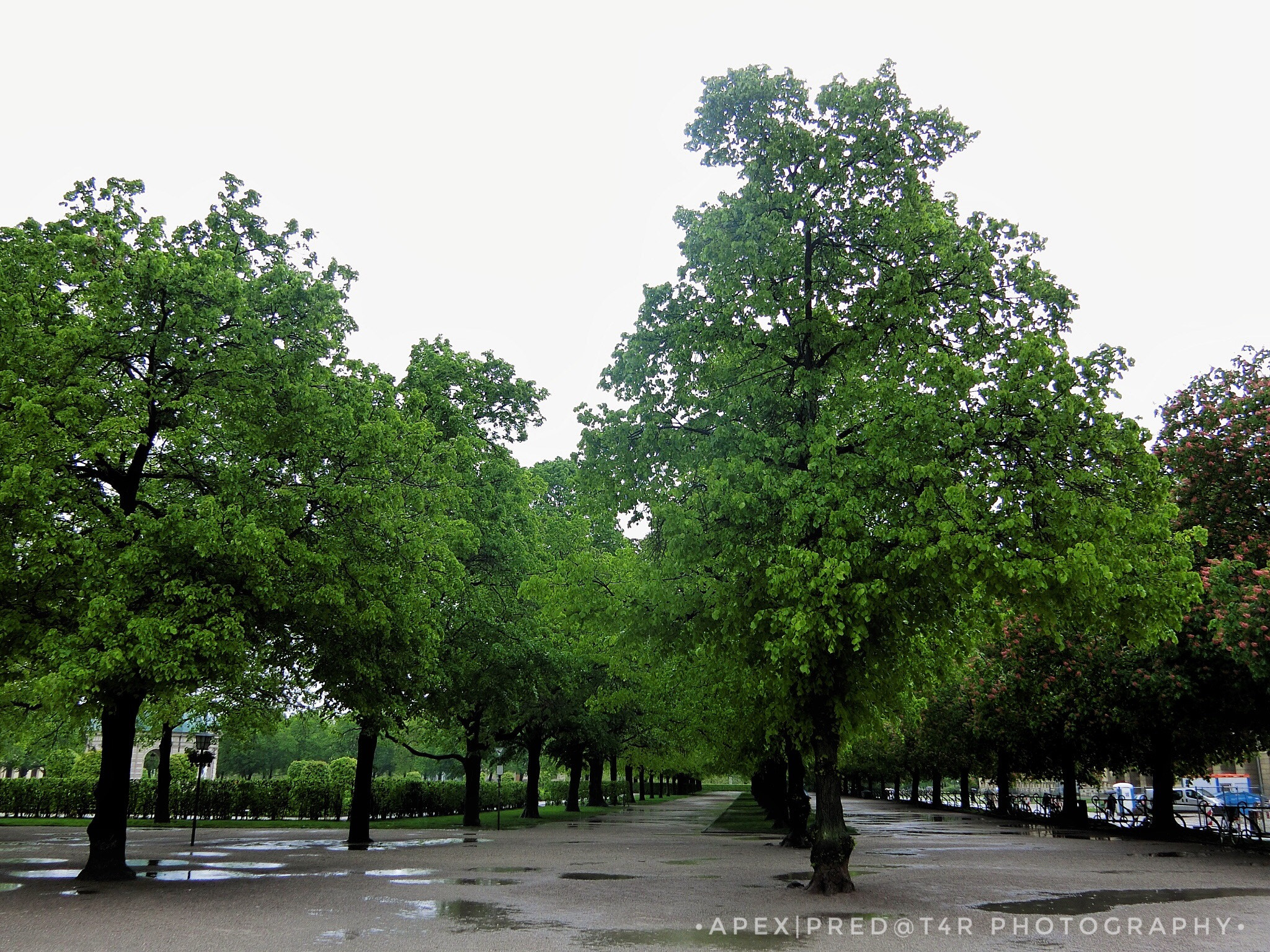 CASIO EX-100 sample photo. Nature 1.6 photography