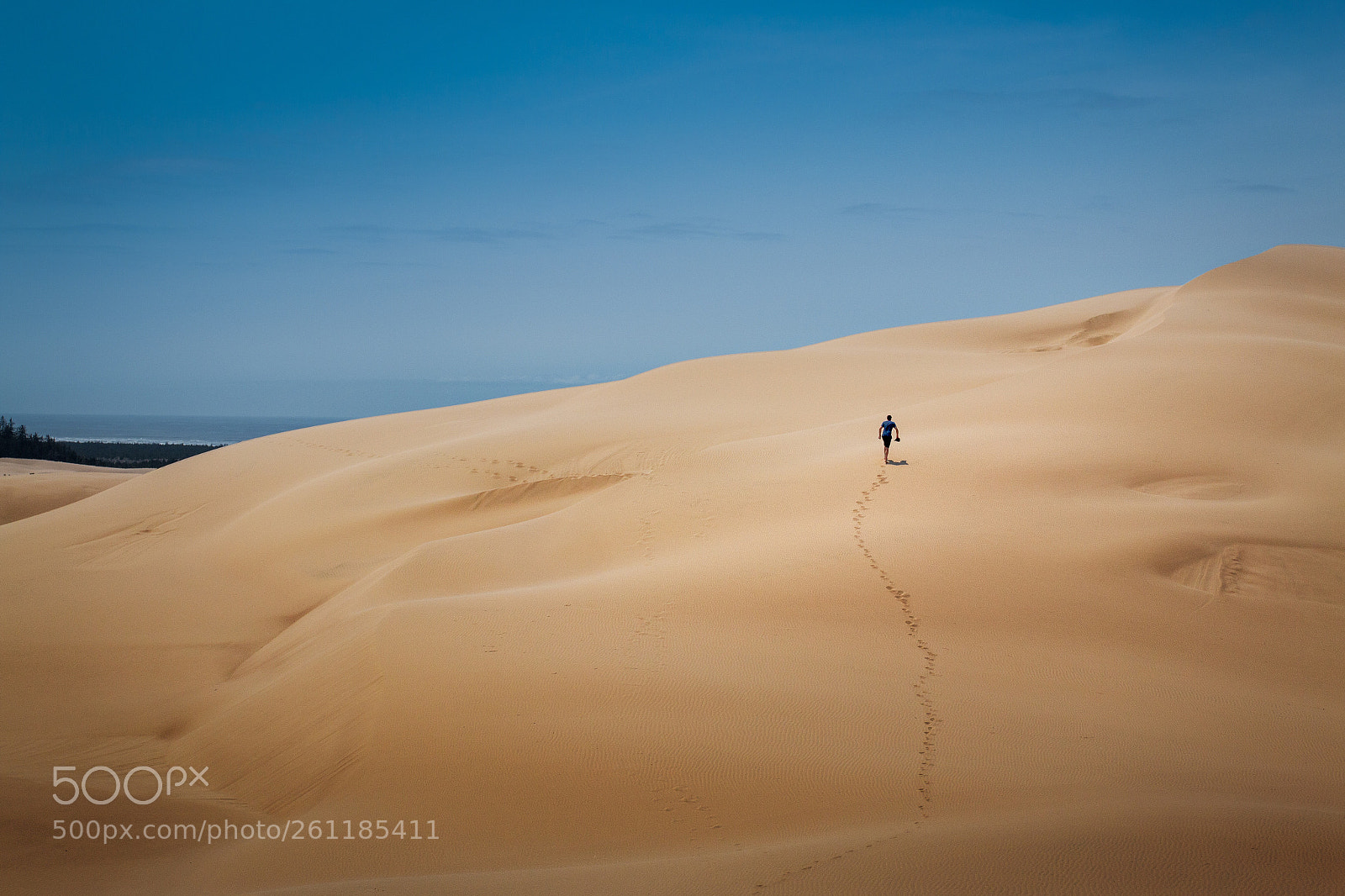 Canon EOS 70D sample photo. The lonely climb photography