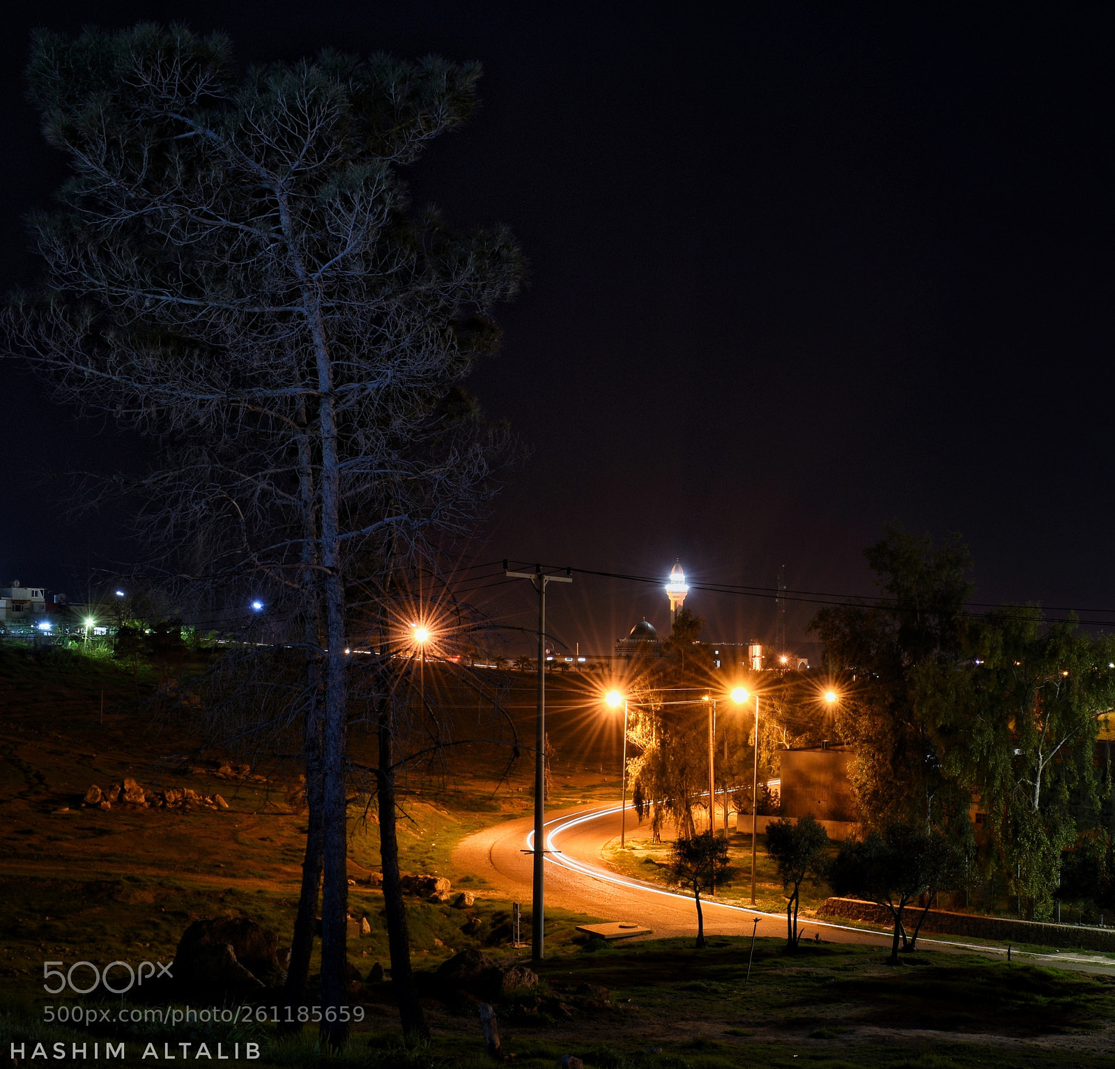 Nikon D3400 sample photo. Untitled photography
