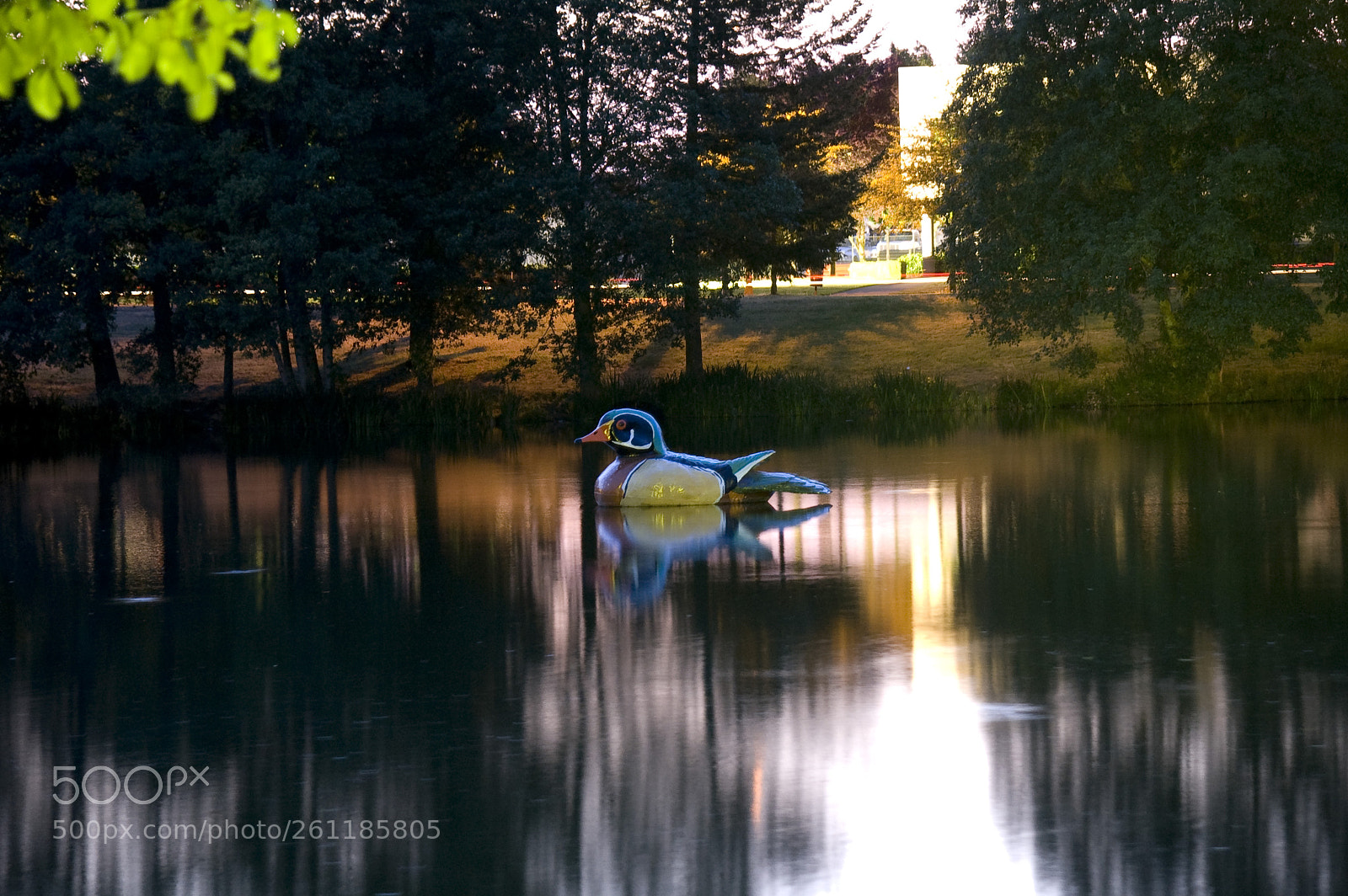 Nikon D40 sample photo. The waverly duck photography
