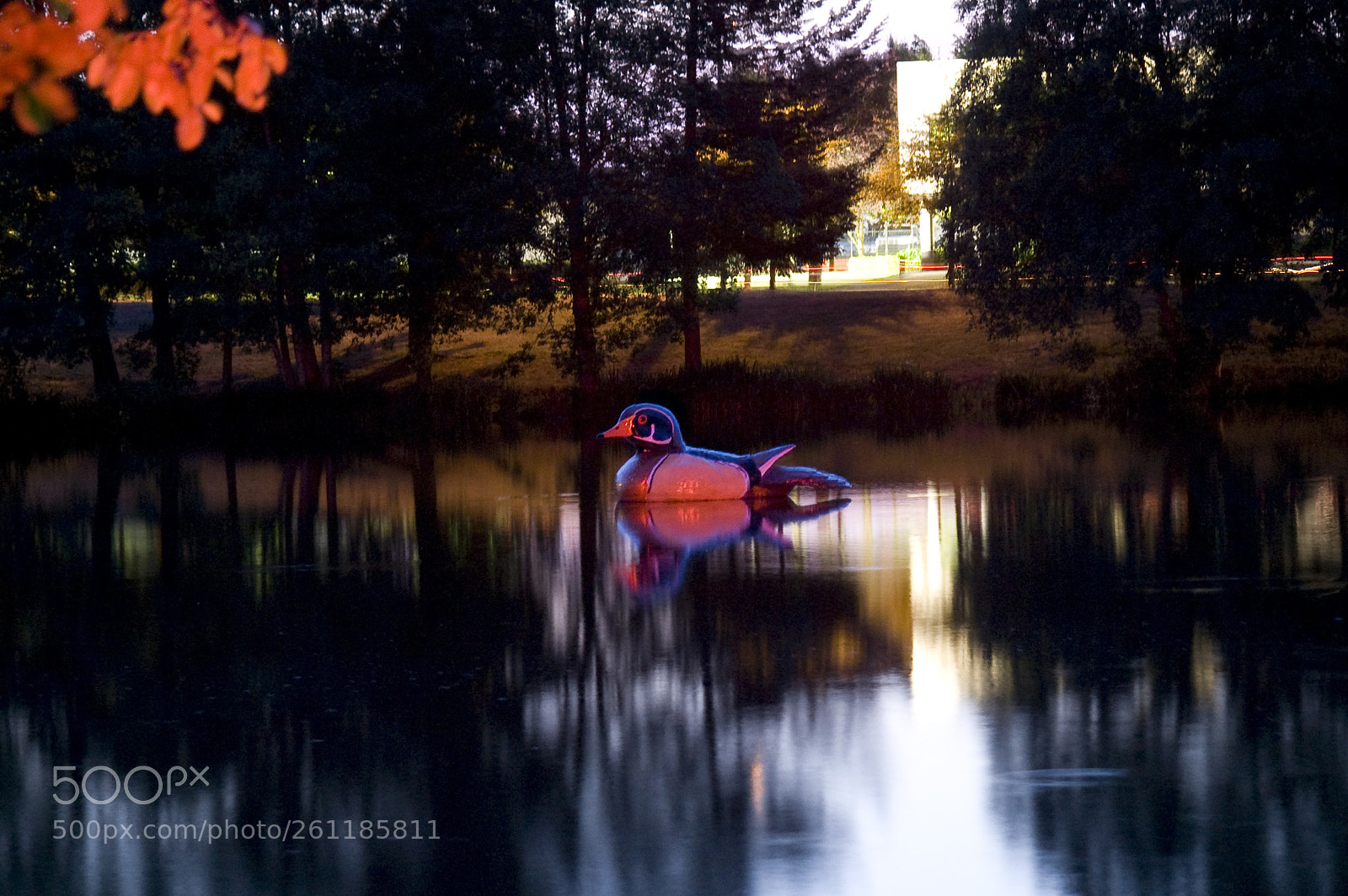 Nikon D40 sample photo. The waverly duck photography