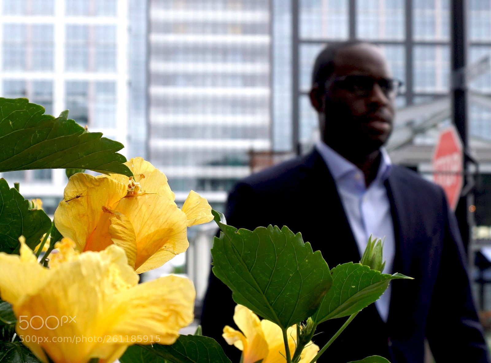 Sony a6500 sample photo. Man passes a flower photography