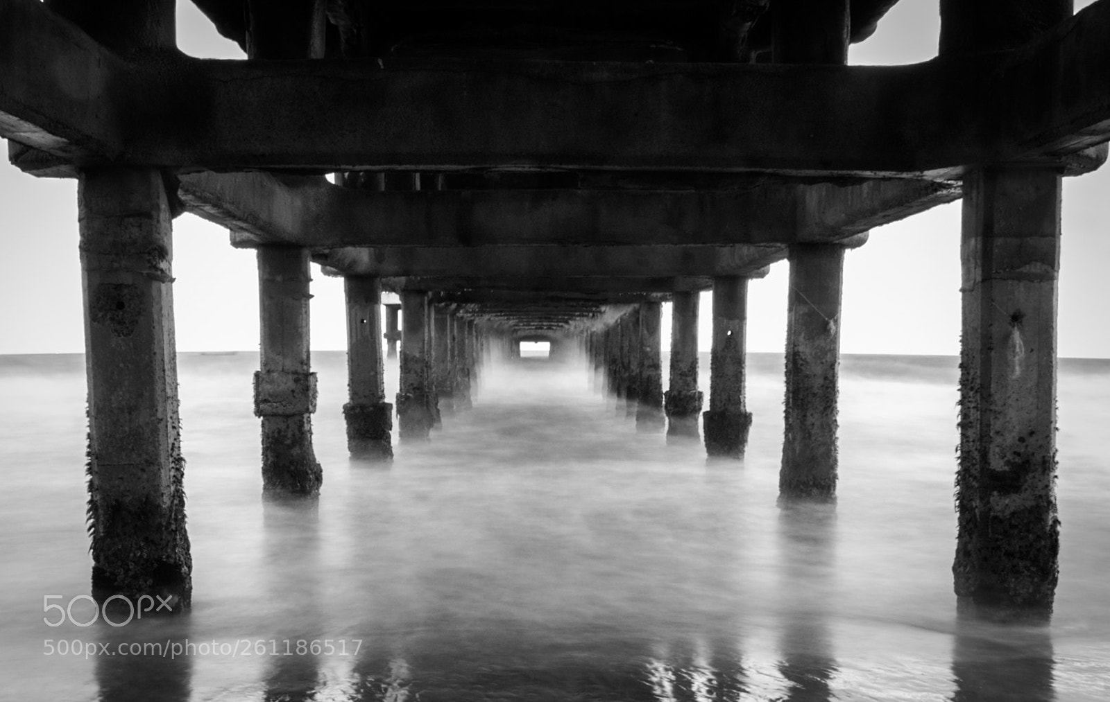 Canon EOS 7D Mark II sample photo. Shooting under the bridge photography