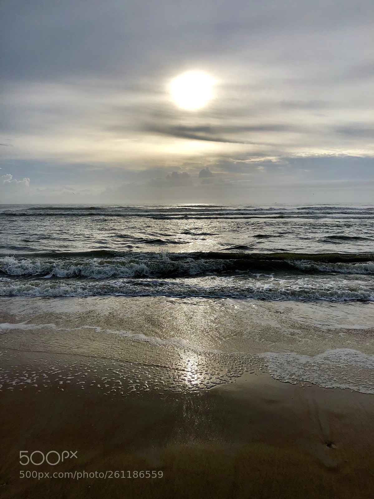 Apple iPhone 8 Plus sample photo. Untitled photography
