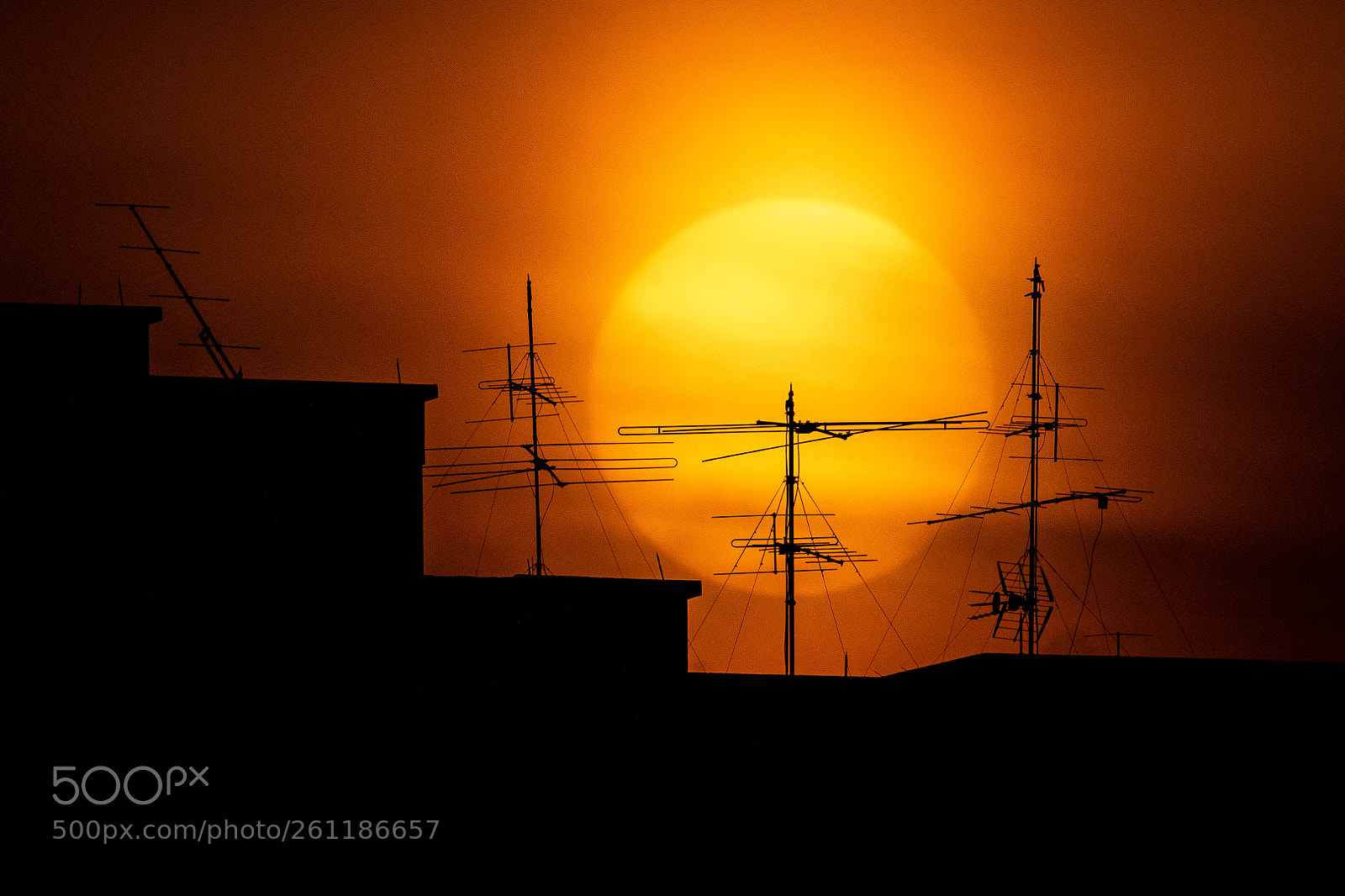 Nikon D850 sample photo. Antenna and the sun photography